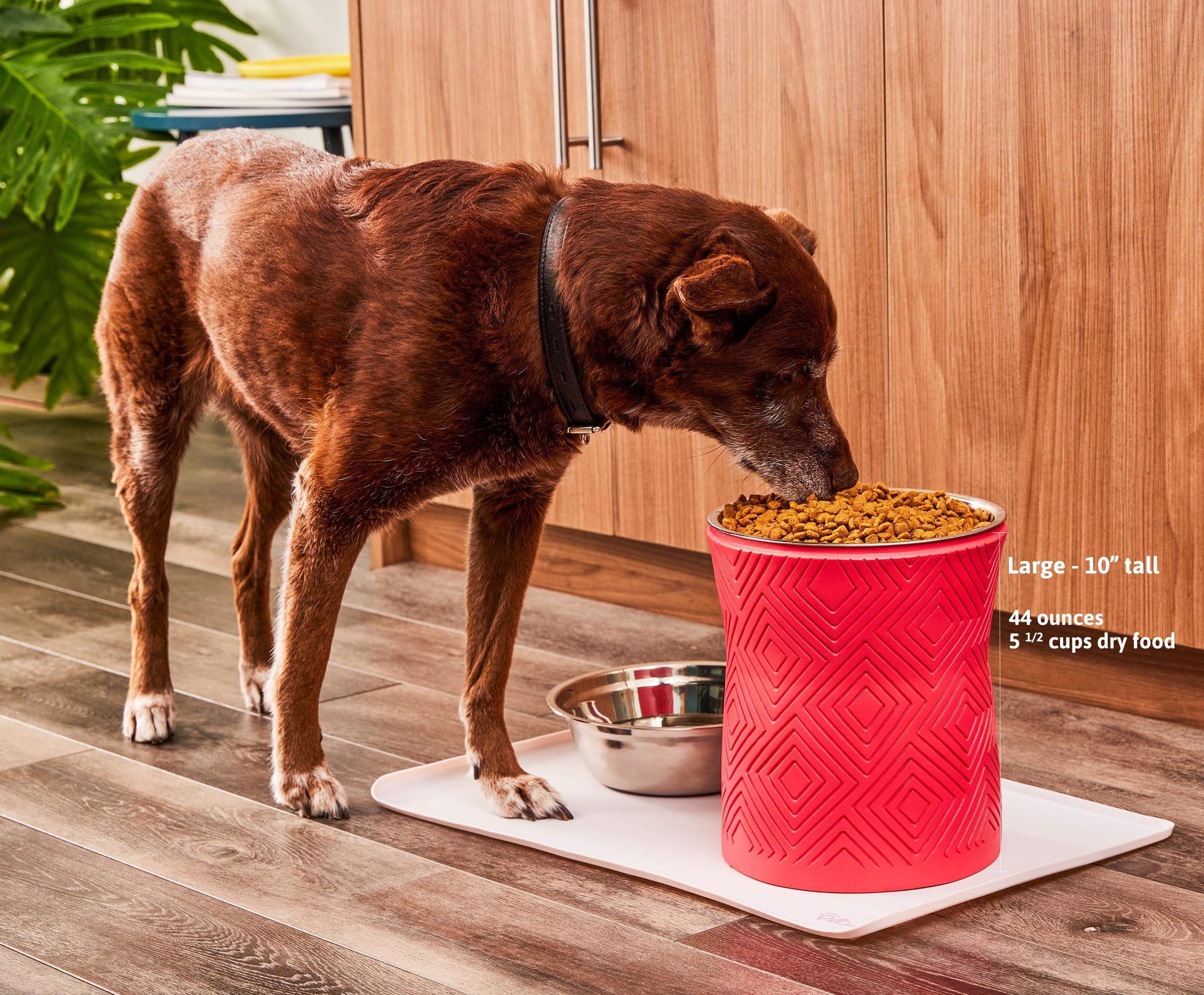 Pet Junkie Santa Fe Single Elevated Dog Bowl Stand with Removable Stainless Steel 44oz Inner Bowl for Medium to Large Breed - Ra