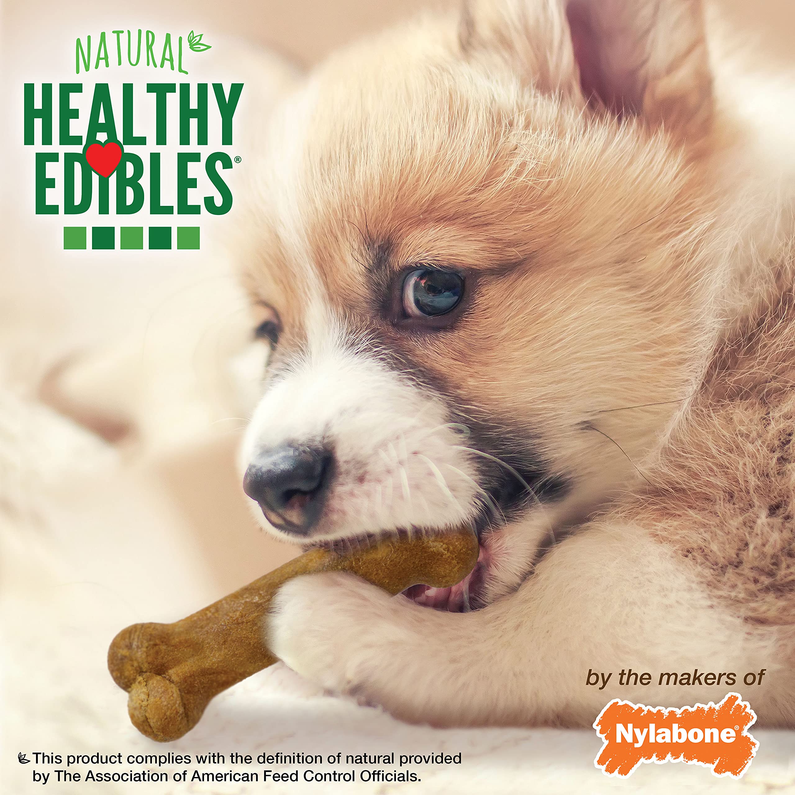 Nylabone Healthy Edibles Natural Puppy Chews Long Lasting Treats for Puppies, Roast Beef, Apple & Bacon Flavor, X-Small/Petite (