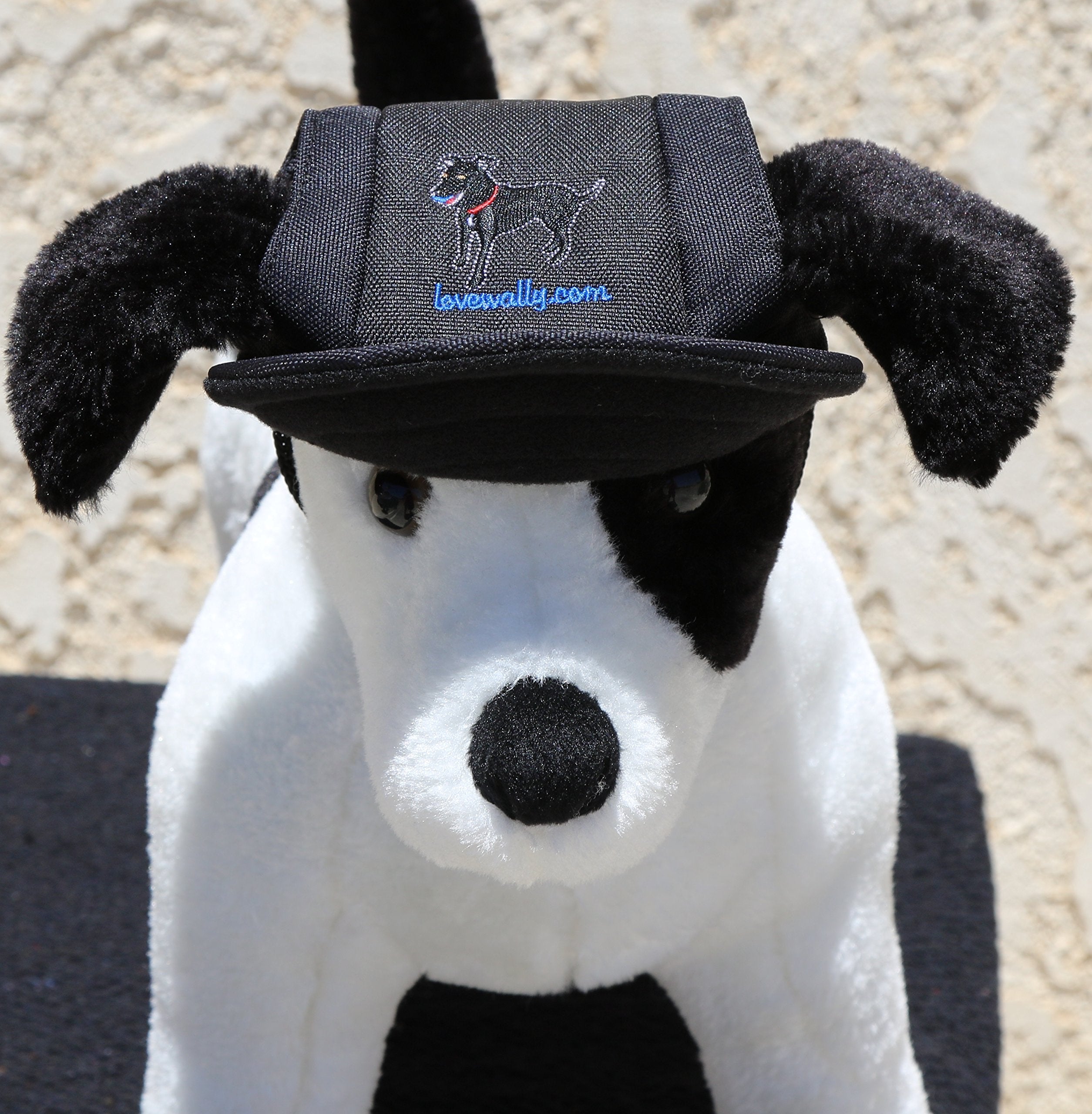 Lovewally Dog Outdoor Pet Hat Black Adjustable (Medium)