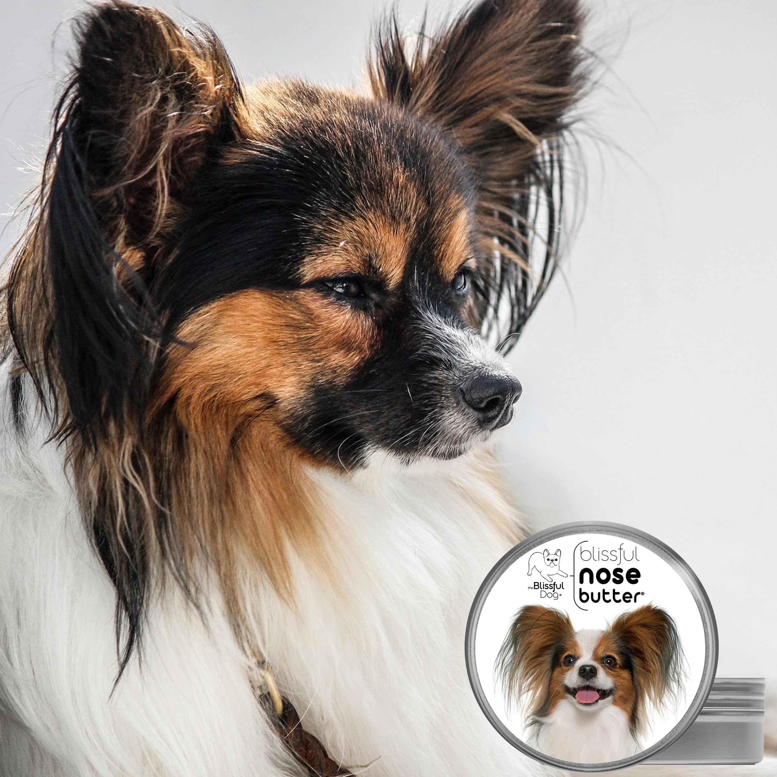 The Blissful Dog Papillon Unscented Nose Butter - Dog Nose Butter, 8 Ounce