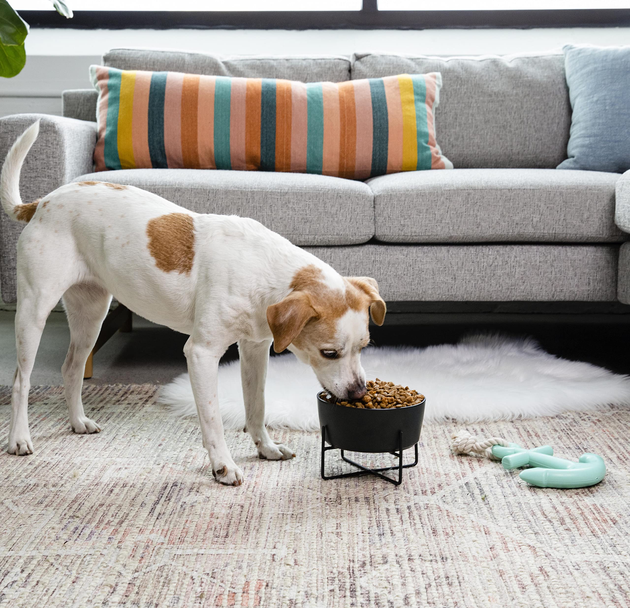 Waggo Simple Solid Dog Bowl And Dog Bowl Stand - Single Iron Stand With Single Ceramic Feeder Or Water Bowl (Medium, Matte White)