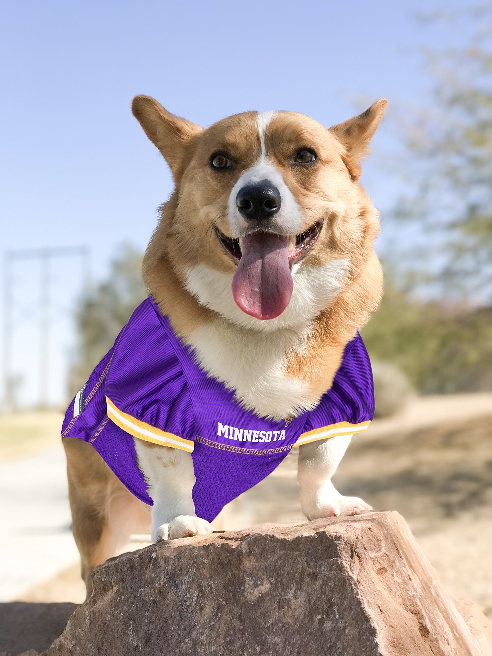 Nfl Minnesota Vikings Dog Jersey, Size: Large. Best Football Jersey Costume For Dogs & Cats. Licensed Jersey Shirt