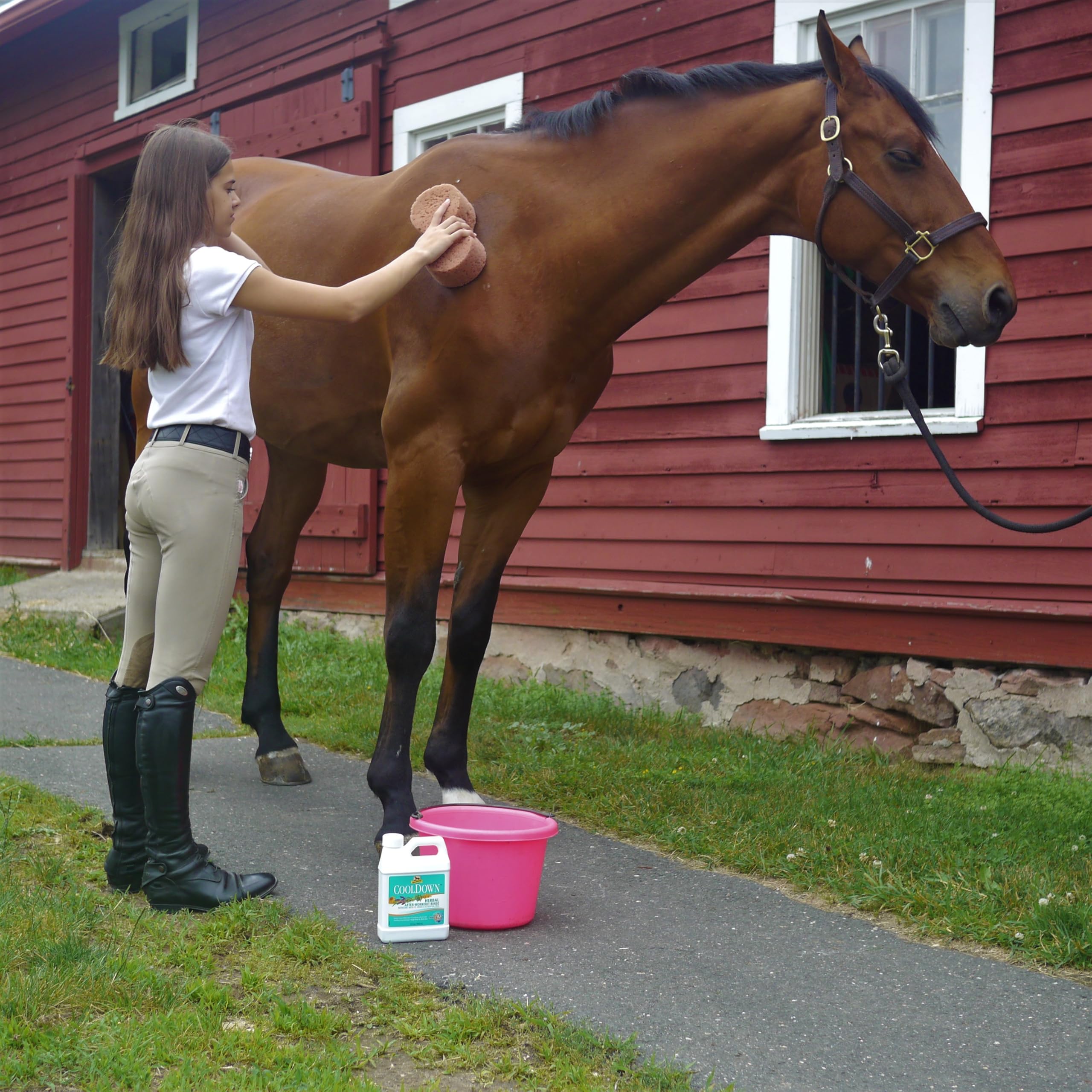 Absorbine Cooldown Herbal After Workout Rinse, 12 Herbs & Essential Oils, Soap-Free Formula, Concentrate Makes 32 Gallons
