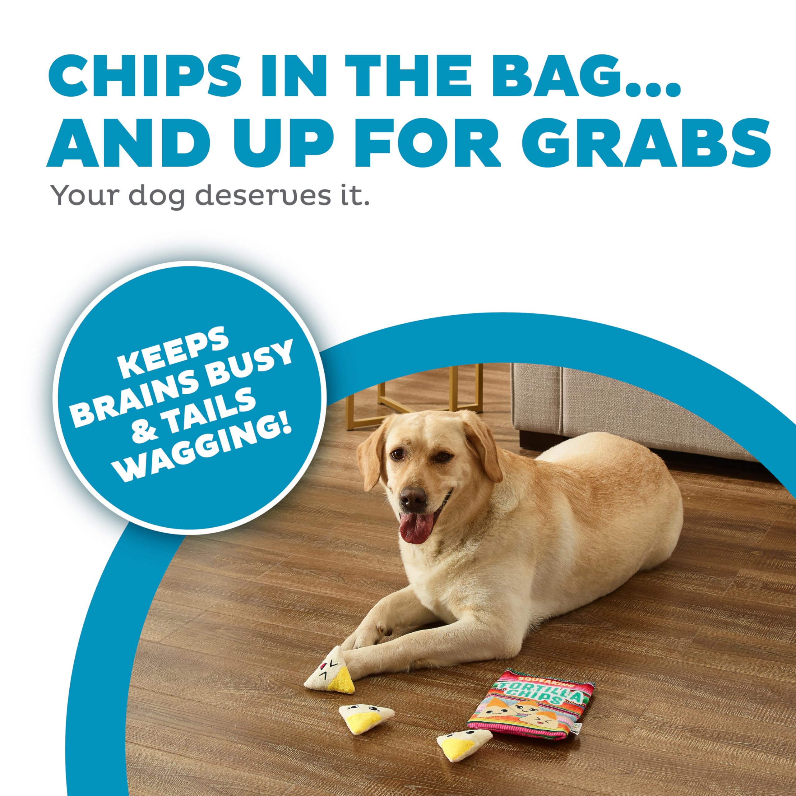 Outward Hound Snack Bag Tortilla Chips Puzzle Squeaky Dog Toys
