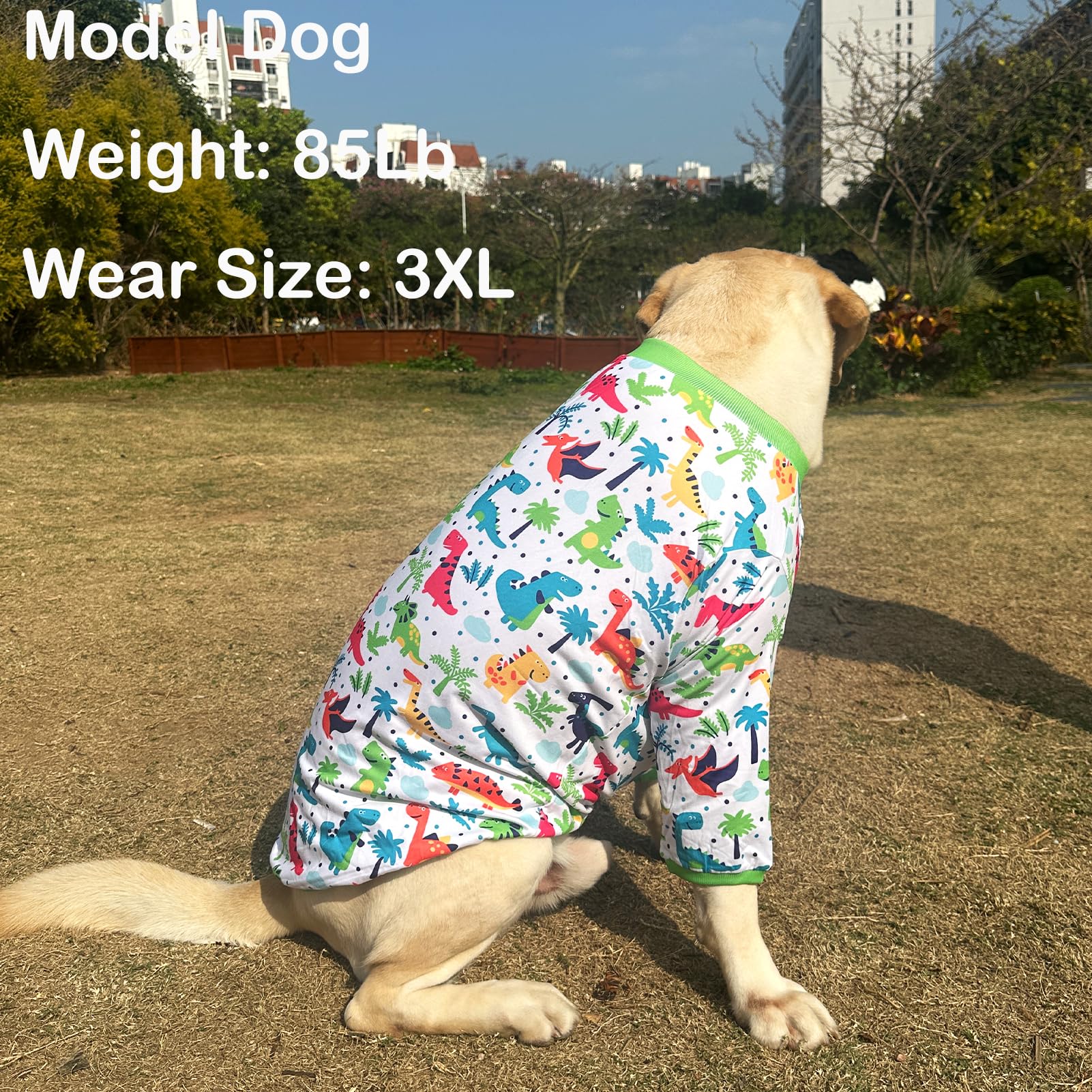 Dogs T Shirt Colorful Dinosaur Prints Dogs Green Shirt Soft Stretchy Summer Clothes for Large Dog Boys Girls Shirt Large Green D