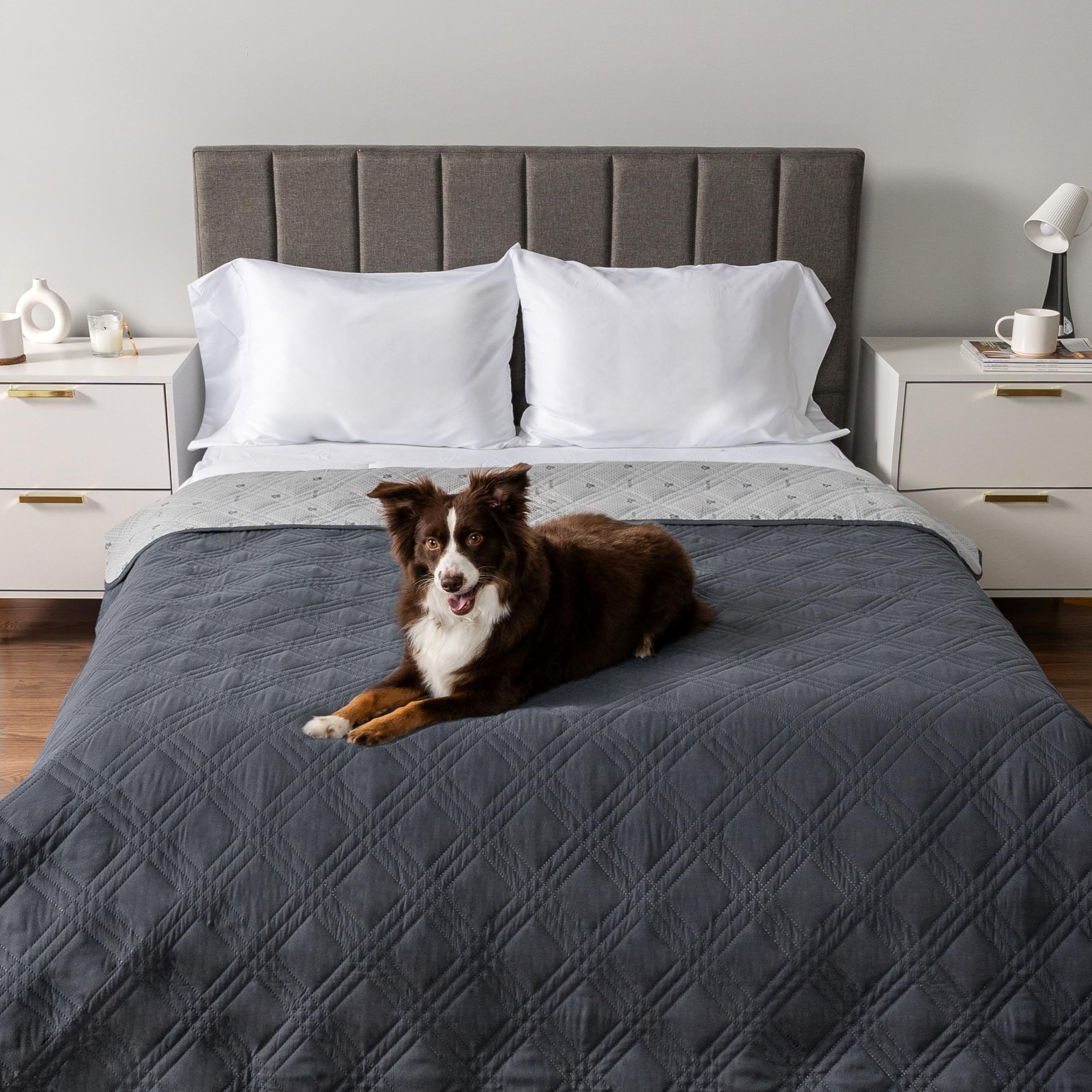 Petami Waterproof Couch Cover For Dogs, Waterproof Pet Blanket, Reversible Furniture Cover Sofa Protector For Pet Cat Bed, Washable Waterproof Blanket Dog Cover For Couch Seat, 102X82 Gray