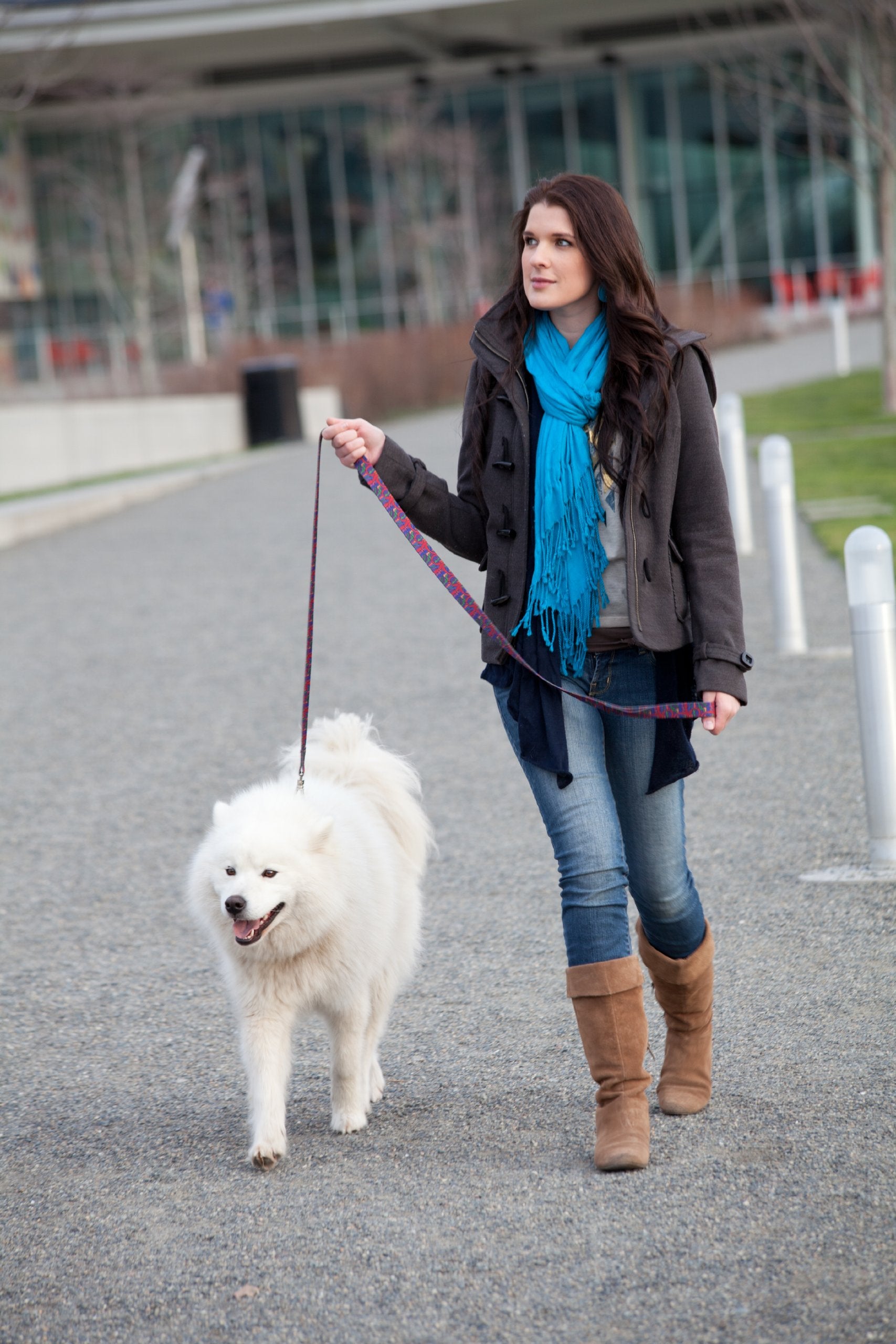 Dutch Dog Amsterdam Eco Friendly Van Heemskerck Fashion Dog Leash, 5-Feet