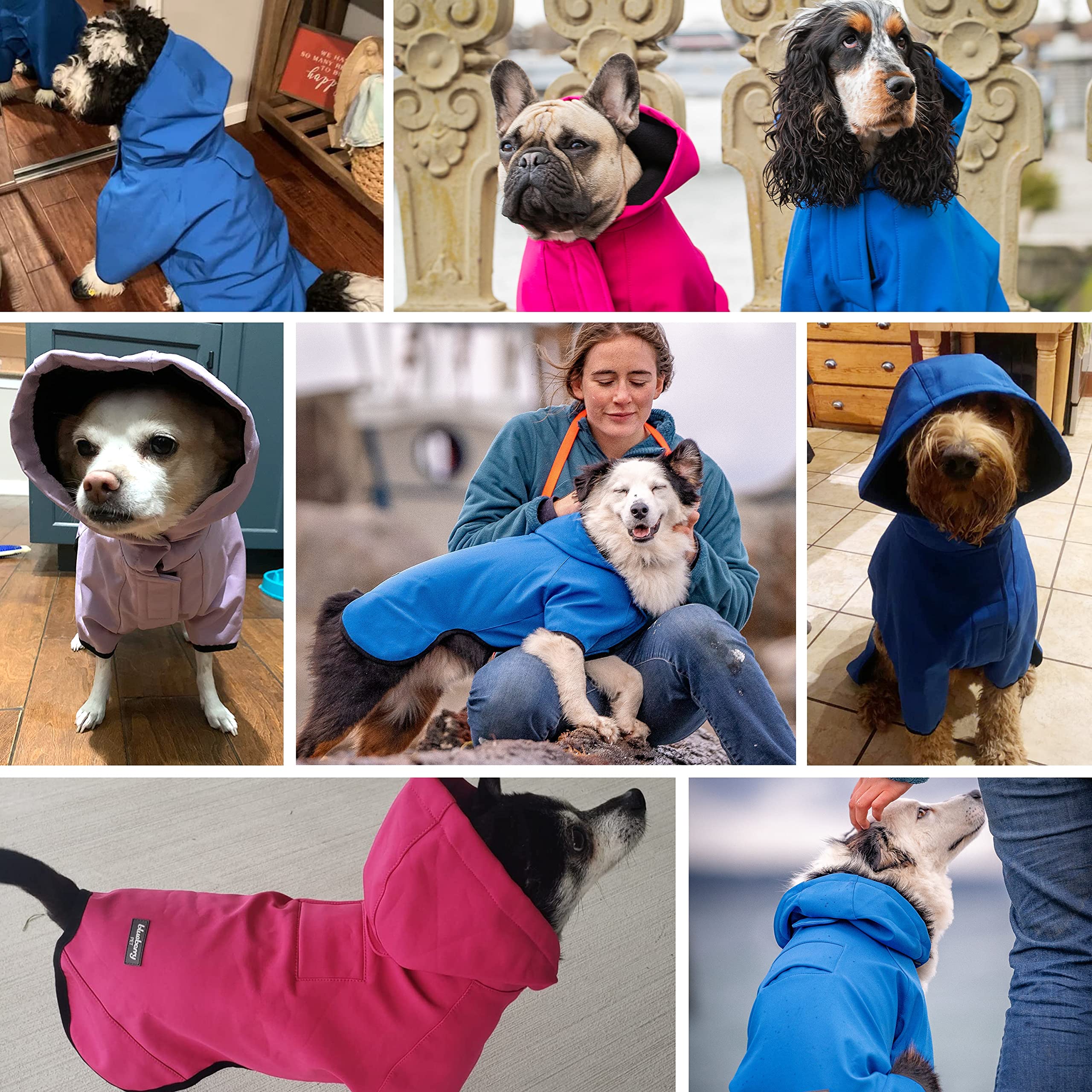 Blueberry Pet 12' Waterproof Dog Softshell Jacket, Hooded Raincoat And Windbreaker With Leash & Harness Hole, Dazzling Blue, Outdoor Rain Gear For Dogs