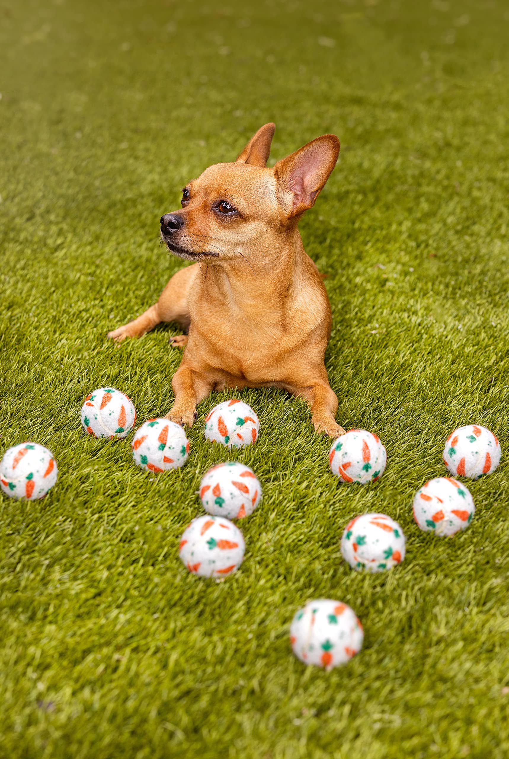 Midlee Mini Easter Carrot Dog Tennis Balls