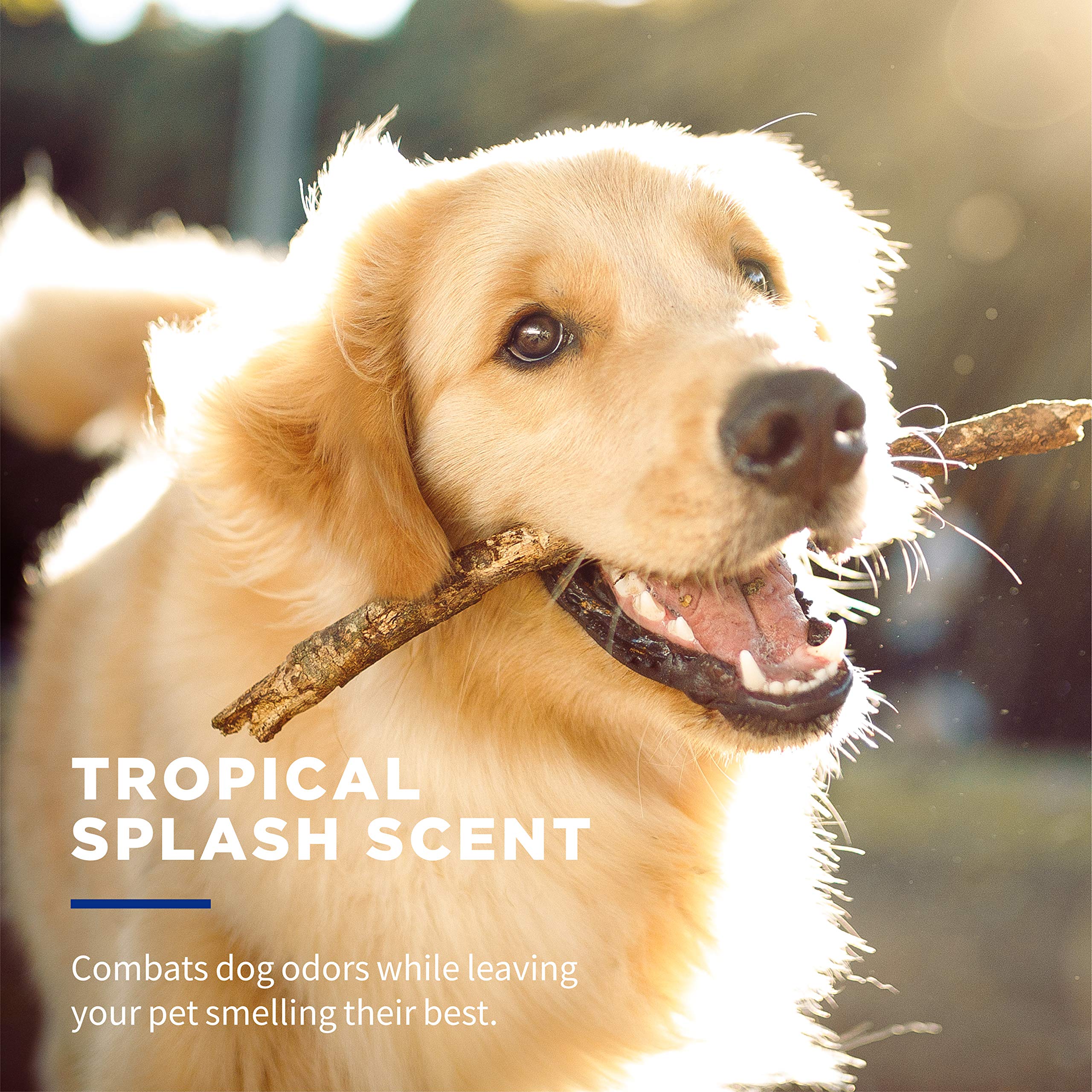 Wet Ones Deodorizing Dog Wipes - 50 Count, Tropical Splash Scent, Multi-Purpose, Model FF12848PCS12, 12 Pack