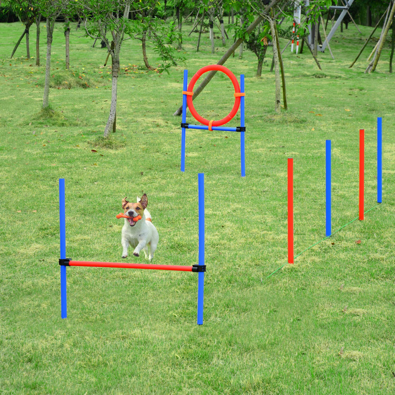 Pawhut Agility Dog Training Set, Skipping Obstacles And Slalom, Carry Bag