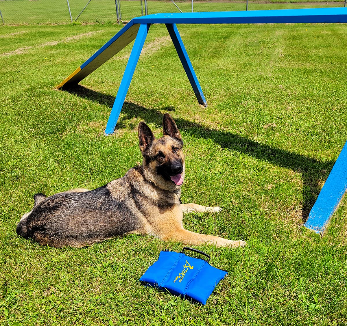 Activedogs Agility Saddlebag Sand Bag W/Weights 13# - Non-Constricting Saddlebags For Stabilizing Dog Agility Tunnel Equipment Indoor Or Outdoor
