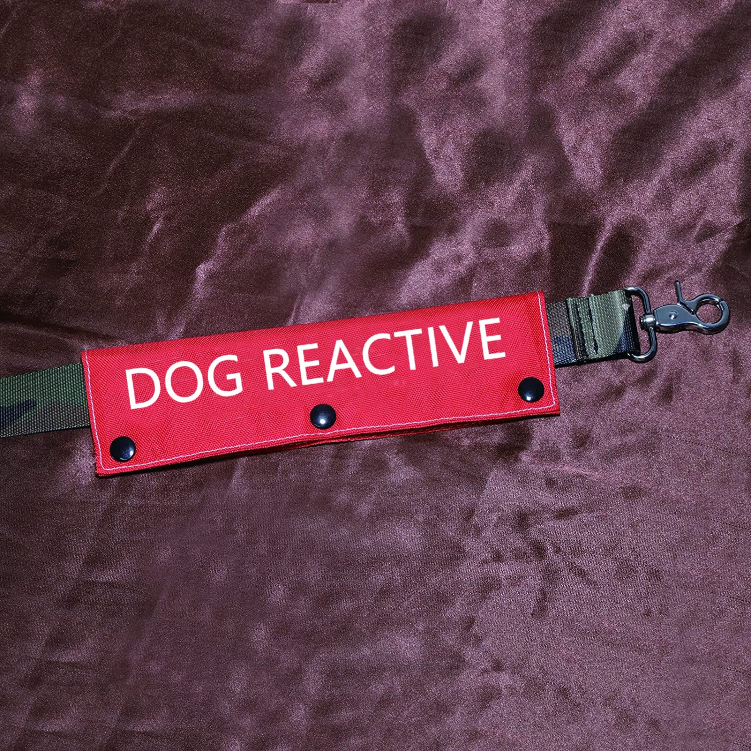Funny Dog Leash Sleeve Dog Reactive Dog Leash Wrap Wrap Alert Hanging Id Patch Tag Pet Birthday Gift(Dog Reactive-Sleeve)