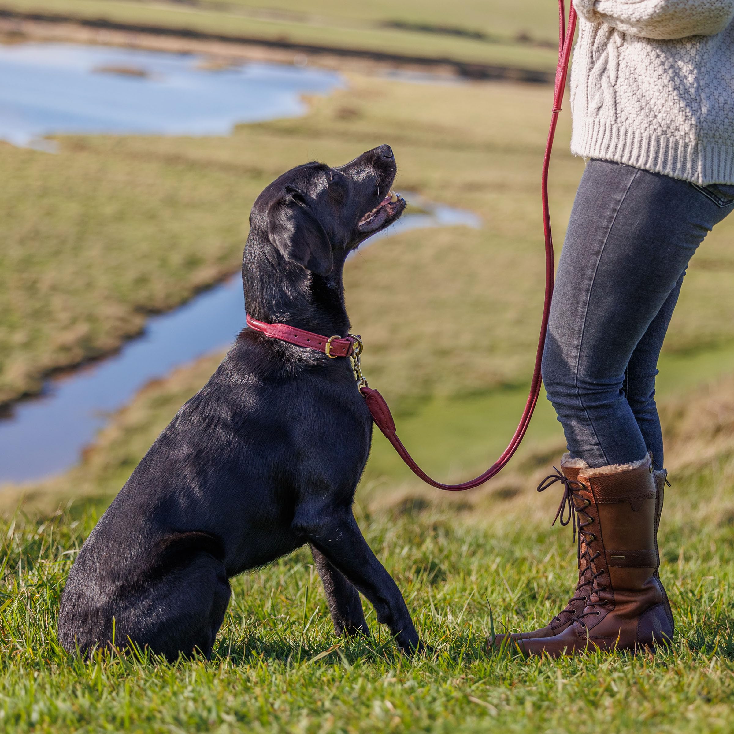 WeatherBeeta Rolled Leather Dog Collar, Maroon, Extra Large