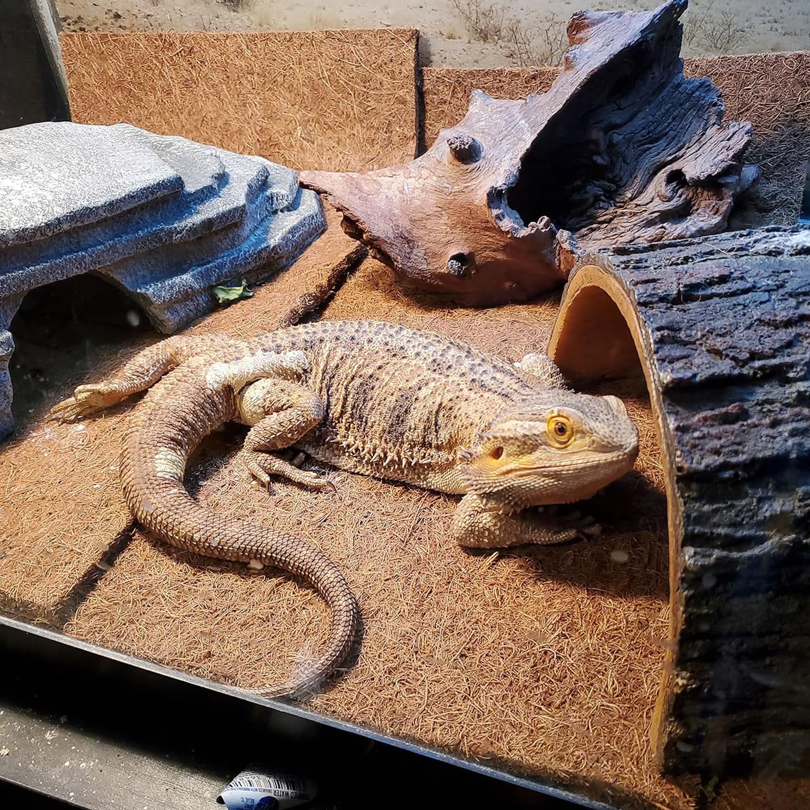 PINVNBY Reptile Carpet, 2 Sheets Lizard Terrarium Mat,Natural Coconut Fiber Substrate Bedding Habitat Liner Pads for Bearded Dra