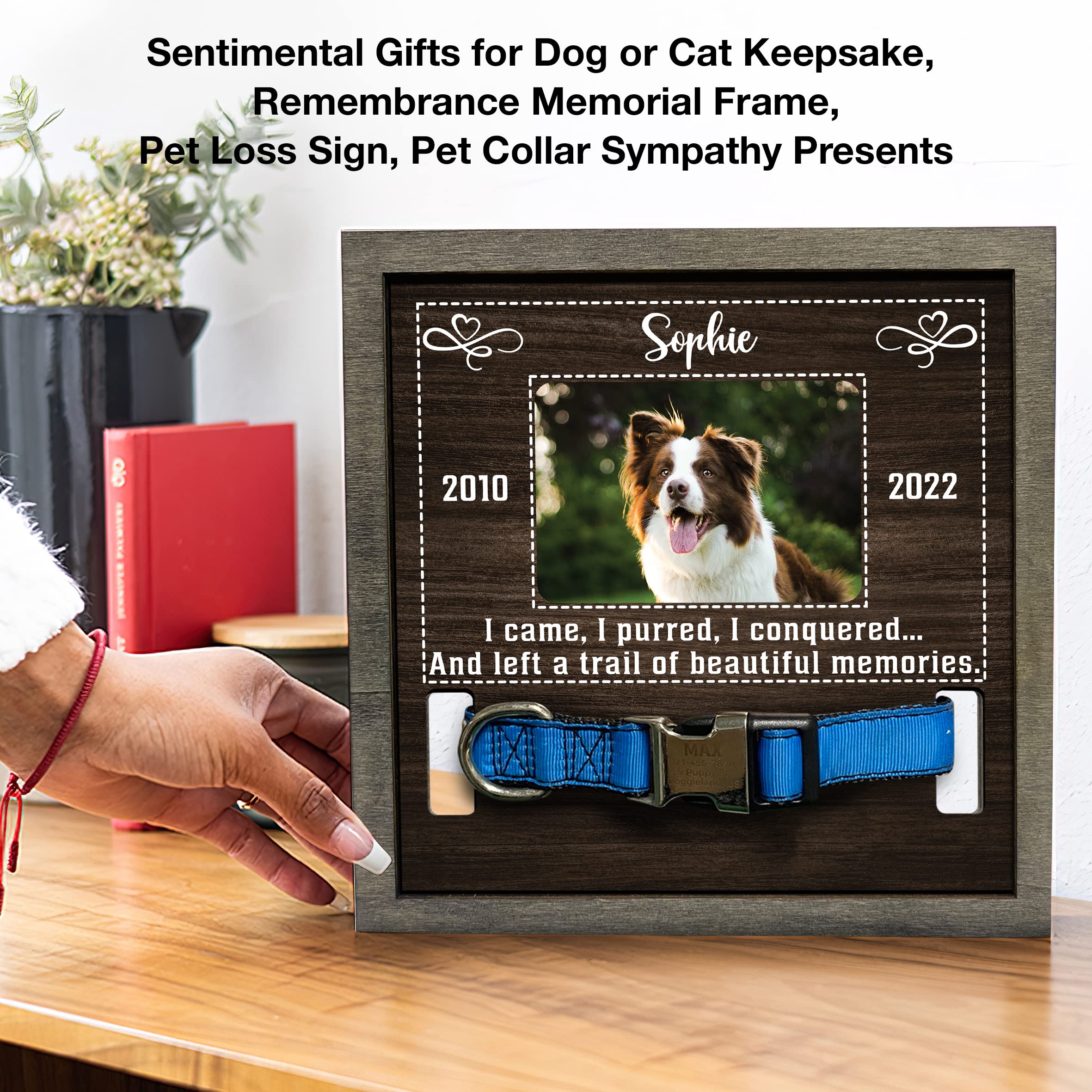Bfigift Customized Dog Picture Frames For Dogs That Passed Personalized Dog Gifts For Pets Dog Memorial Frames Pet Photo Frames And Memorials Loss Of Dog Gifts Rainbow Bridge Pet Memorial Gifts