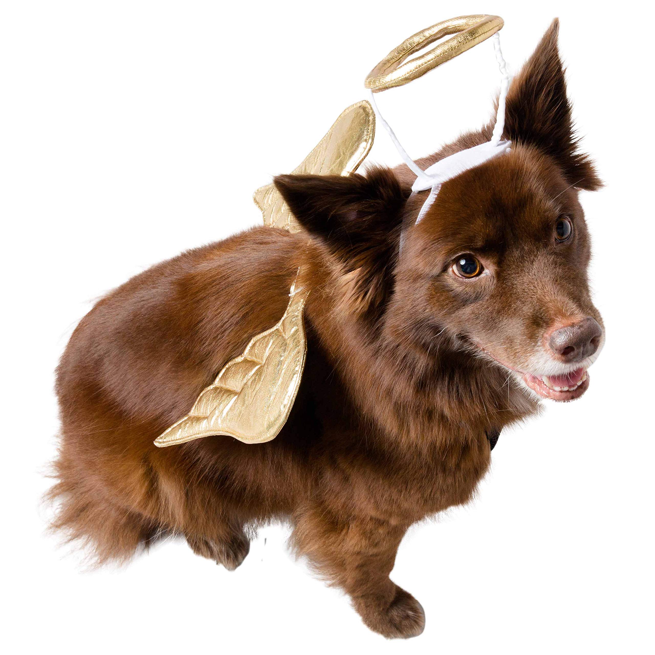 Pet Krewe Angel Dog Costume Wings & Cat Angel Costume Wings - Harness Attachment, One Size Fits All - Perfect For Halloween, Christmas Holiday, Parties, Photoshoots, Gifts For Dog & Cat Lovers