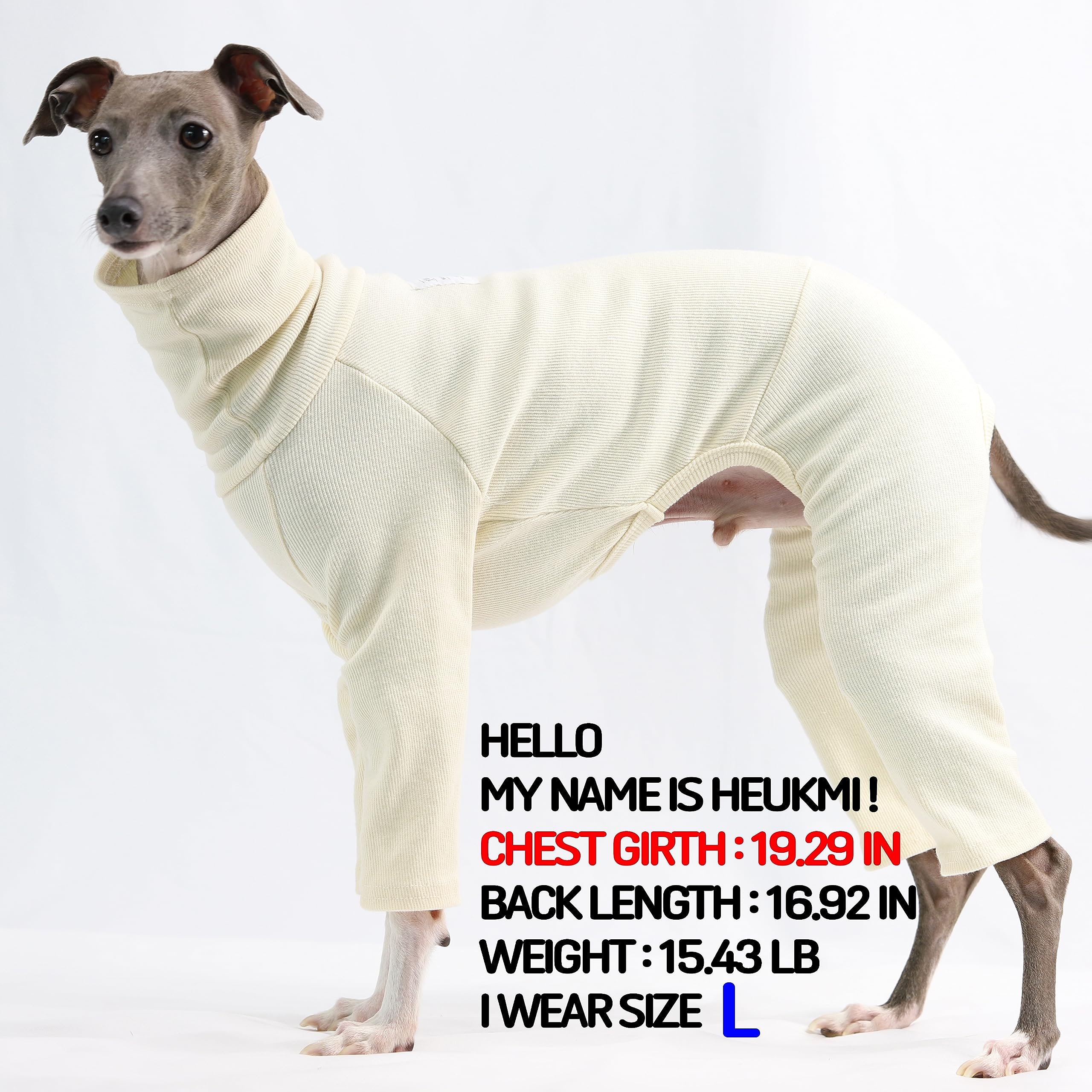 D Doggy Star Italian Greyhound Clothes Stretchable Onesie Whippet For Dog (M,Ribbed Ivory)