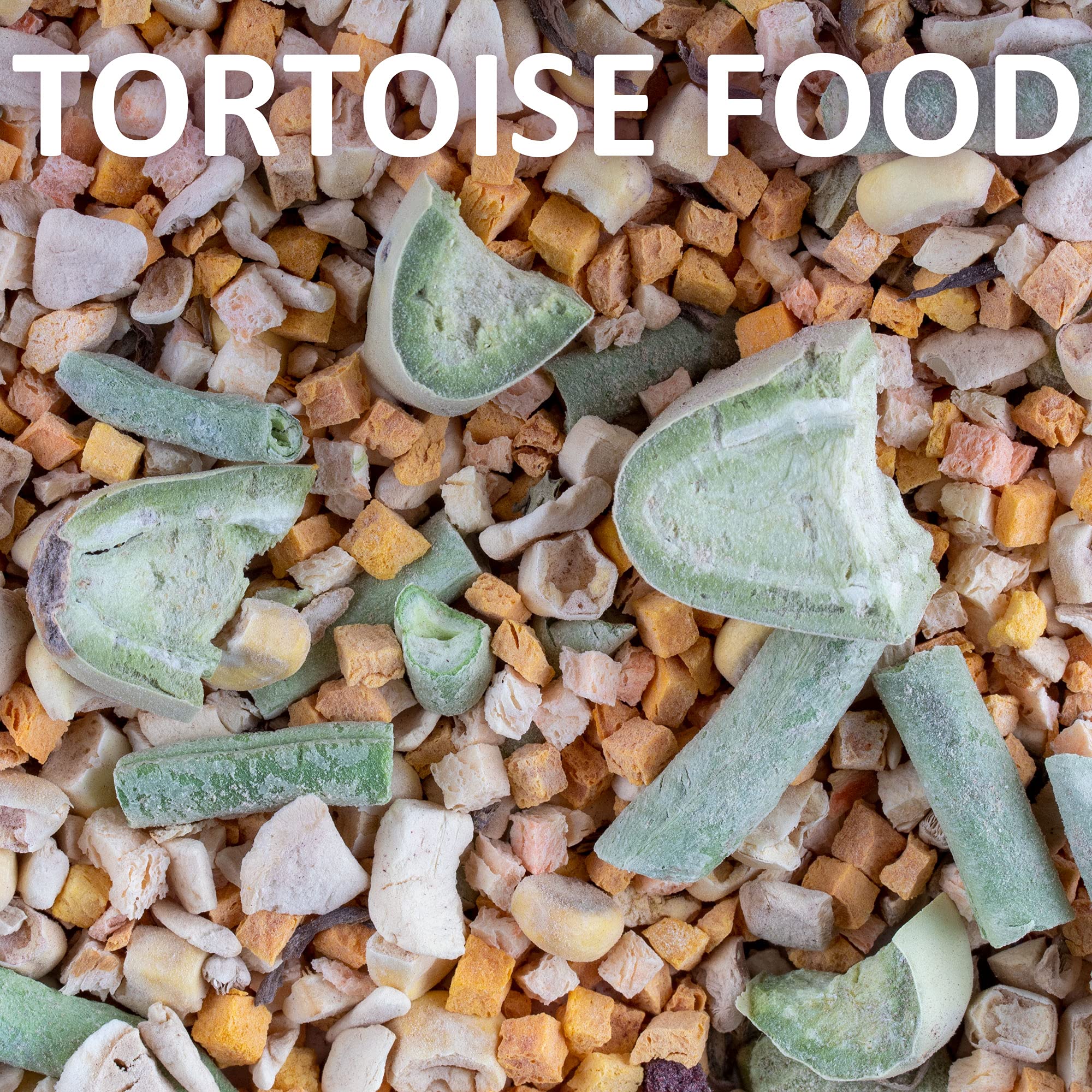 Healthy Herp Tortoise Food Instant Meal for Reptiles - Nutritious Turtle Food, Tortoise Habitat Accessories - Made in USA - for