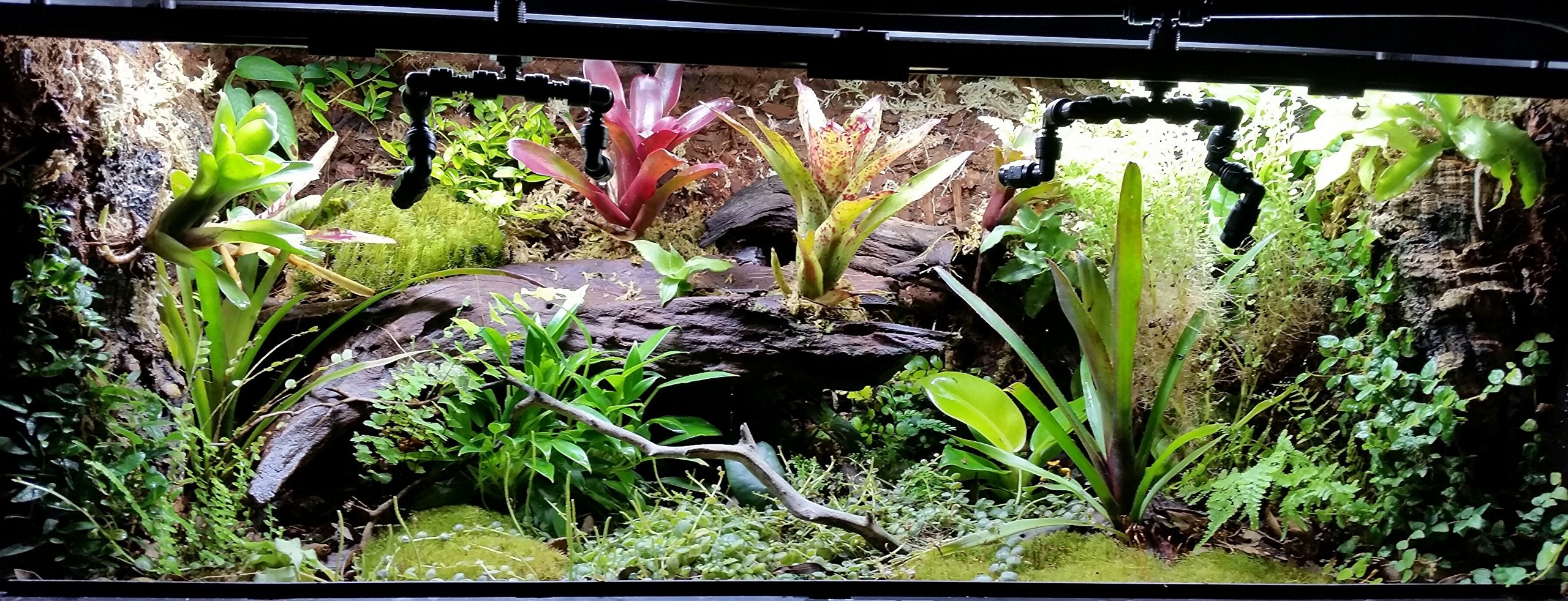 Josh'S Frogs Abg Mix Tropical Plant Soil & Terrarium Vivarium Substrate (4 Quart/1 Gallon)