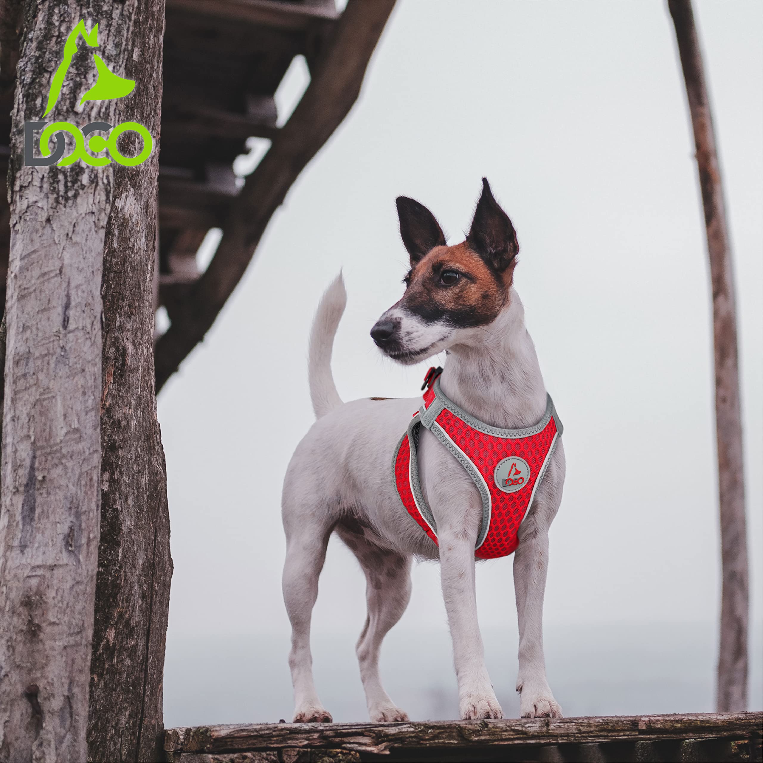 DOCO Dog Harness (Chest 18.5-19.5, Weight 15-20 lbs) Athletica Adjustable Heavy Duty No Choke Puppy Vest for Small Dogs Lightwei
