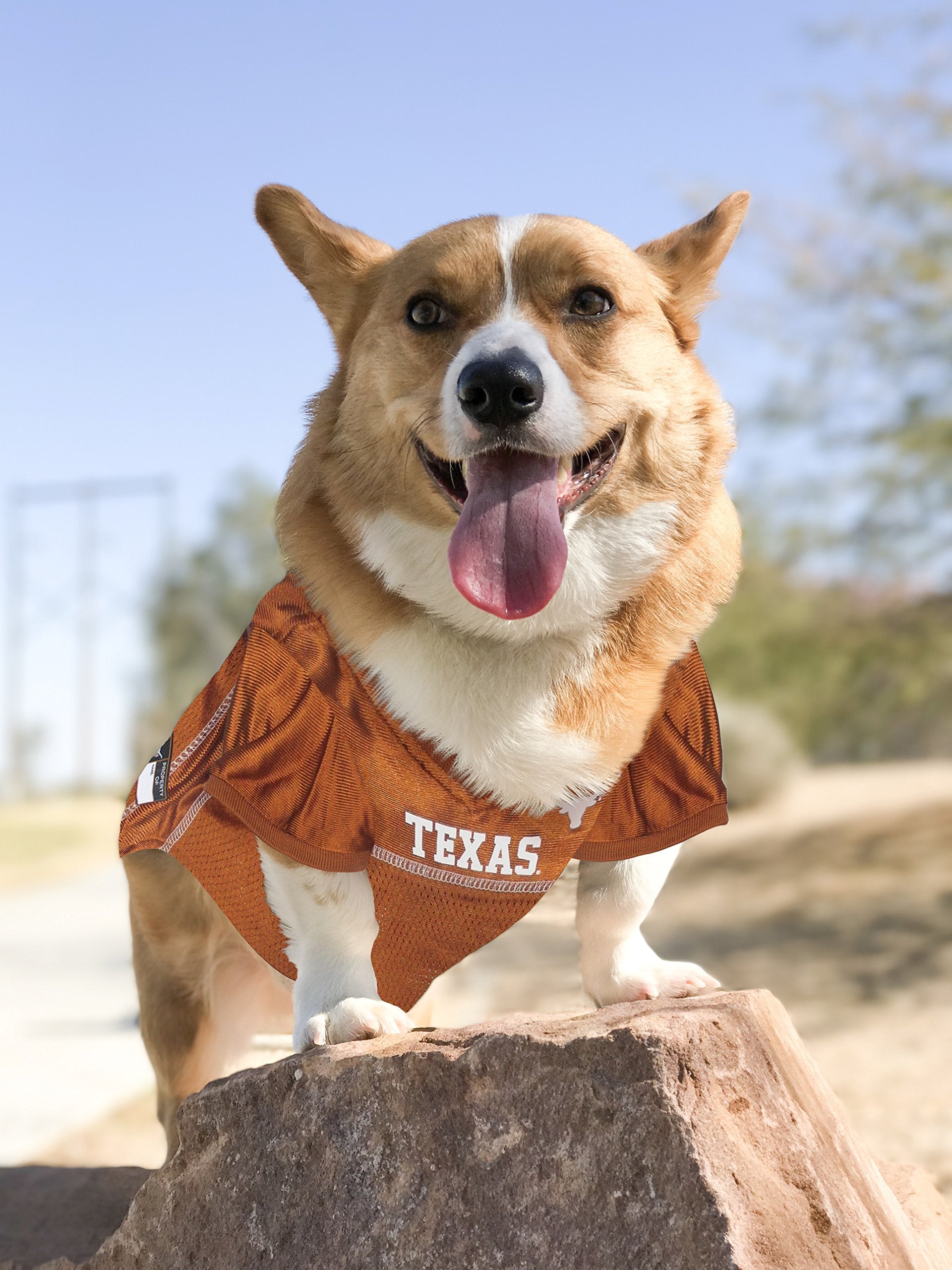 Pets First NCAA College Texas Longhorns Mesh Jersey for DOGS & CATS, Size X-Small, Licensed Dog Jersey with your Favorite Footba