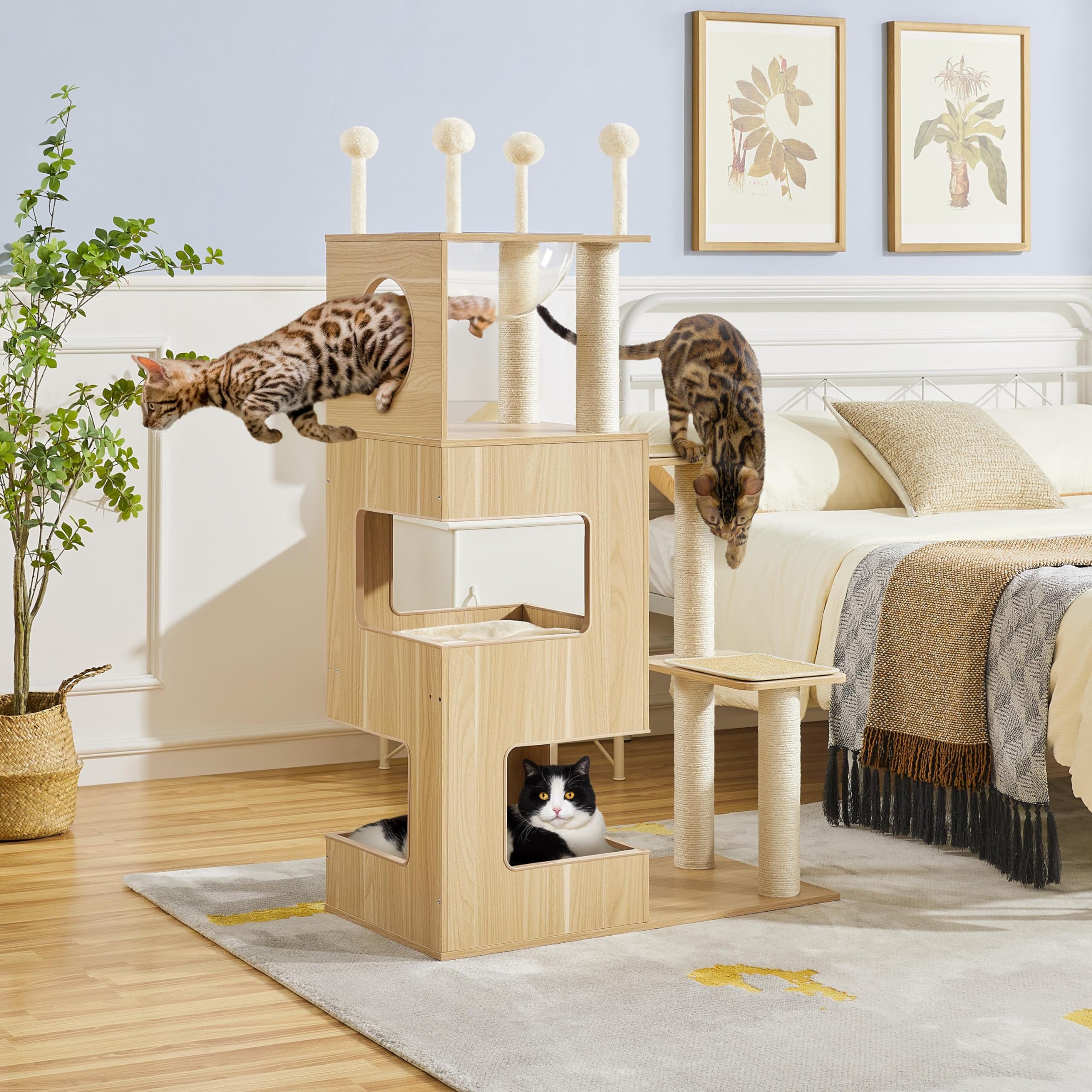 Yaheetech 53in Modern Wooden Cat Tree with Transparent Bowl Condo, Spring Balls & Fully Wrapped Sisal Scratching Posts - Large W