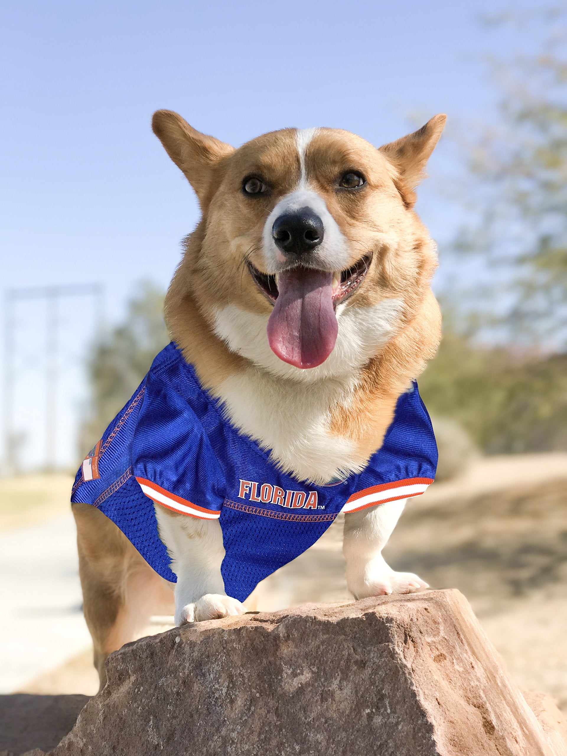Pets First NCAA College Florida Gators Mesh Jersey for DOGS & CATS, Large. Licensed Dog Jersey with your Favorite Football/Baske