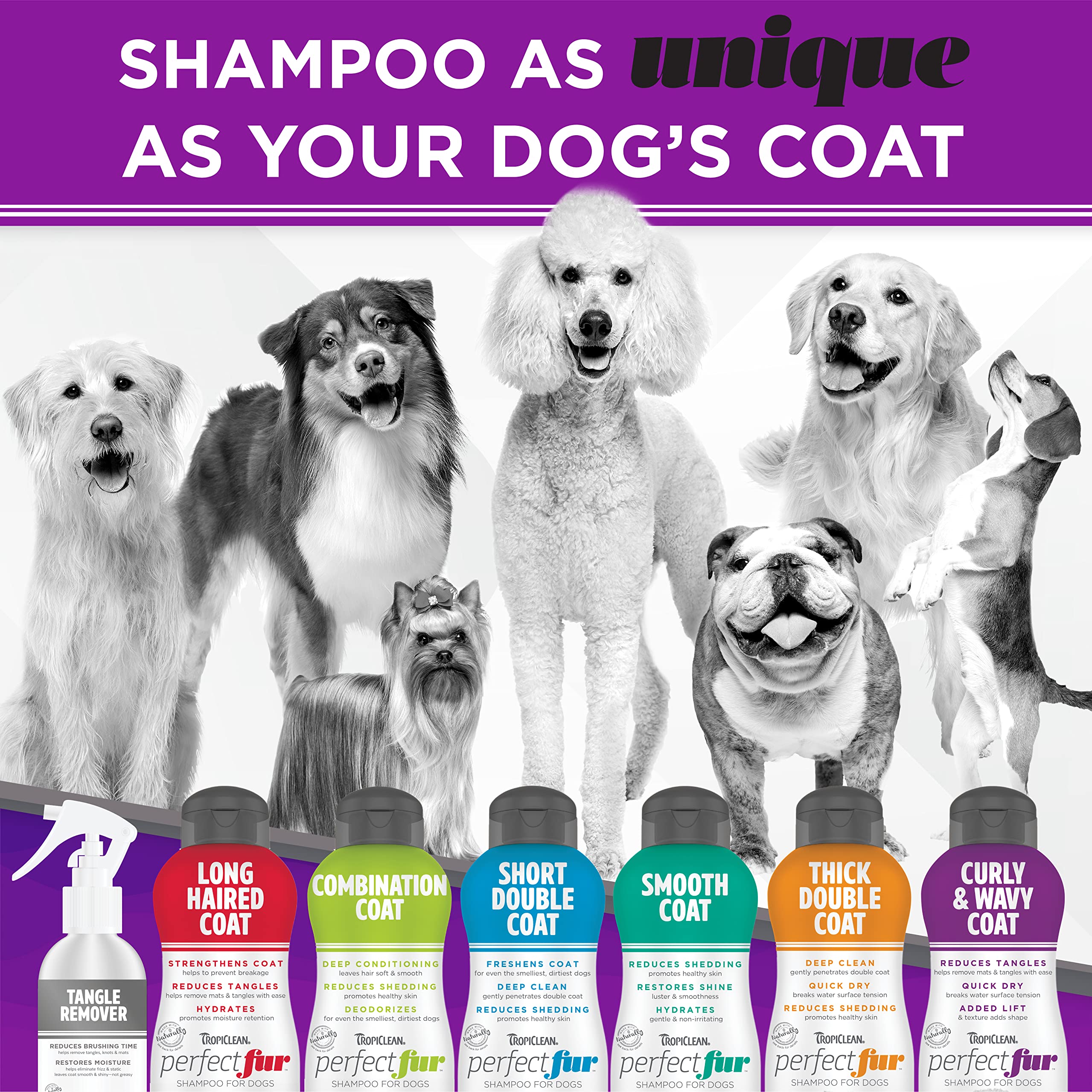 Tropiclean Perfect Fur Detangling Dog Shampoo For Breeds With Curly & Wavy Fur | 16 Oz