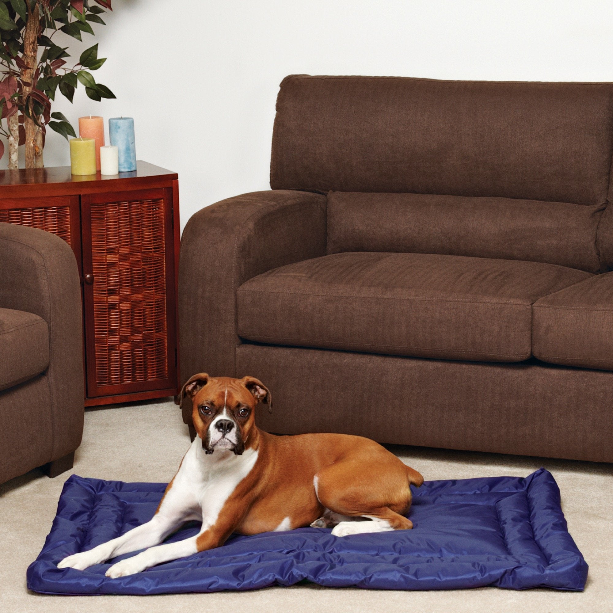 Slumber Pet Royal Blue Small Water Resistant Bed - Comfortable And Durable Pet Bed For Dogs And Cats, Measures 24    X 17