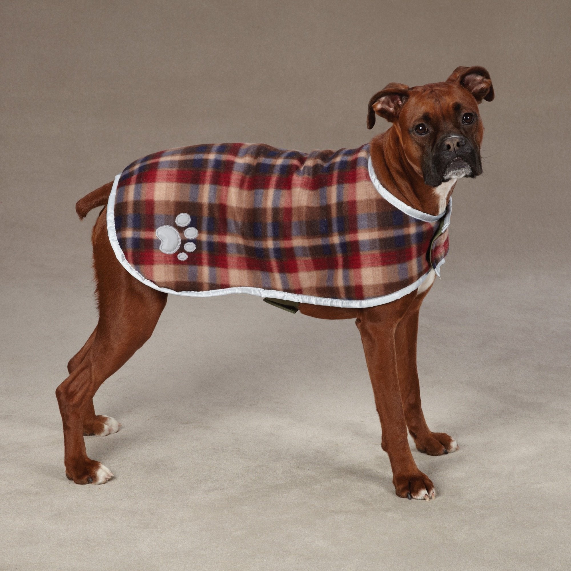 Zack & Zoey Noreaster Blanket Coat for Dogs, 16 Medium, Chive