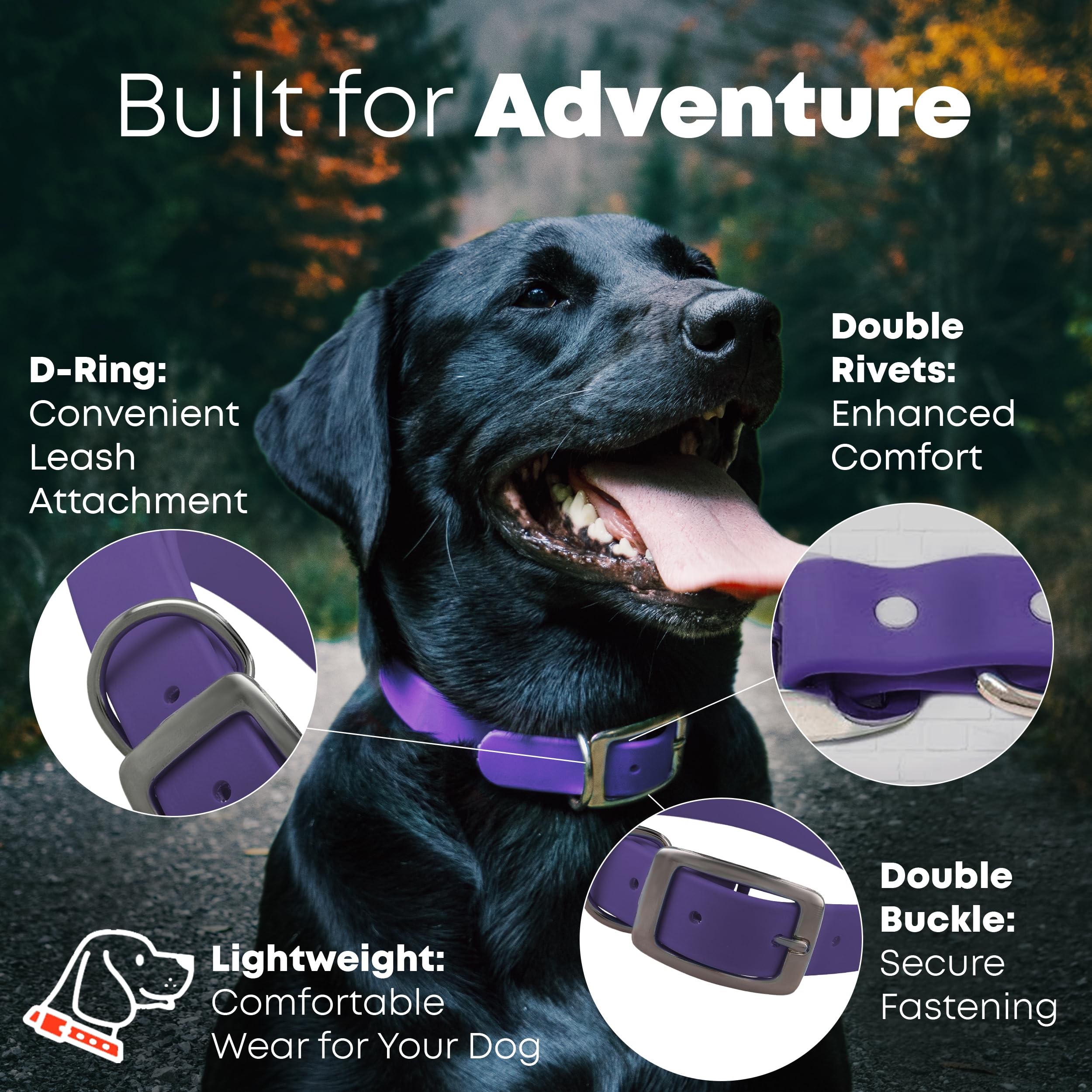 Regal Dog Products Large Purple Dog Collar With Heavy Duty Double Buckle & D Ring | Vinyl Coated, Custom Fit, Adjustable Biothan