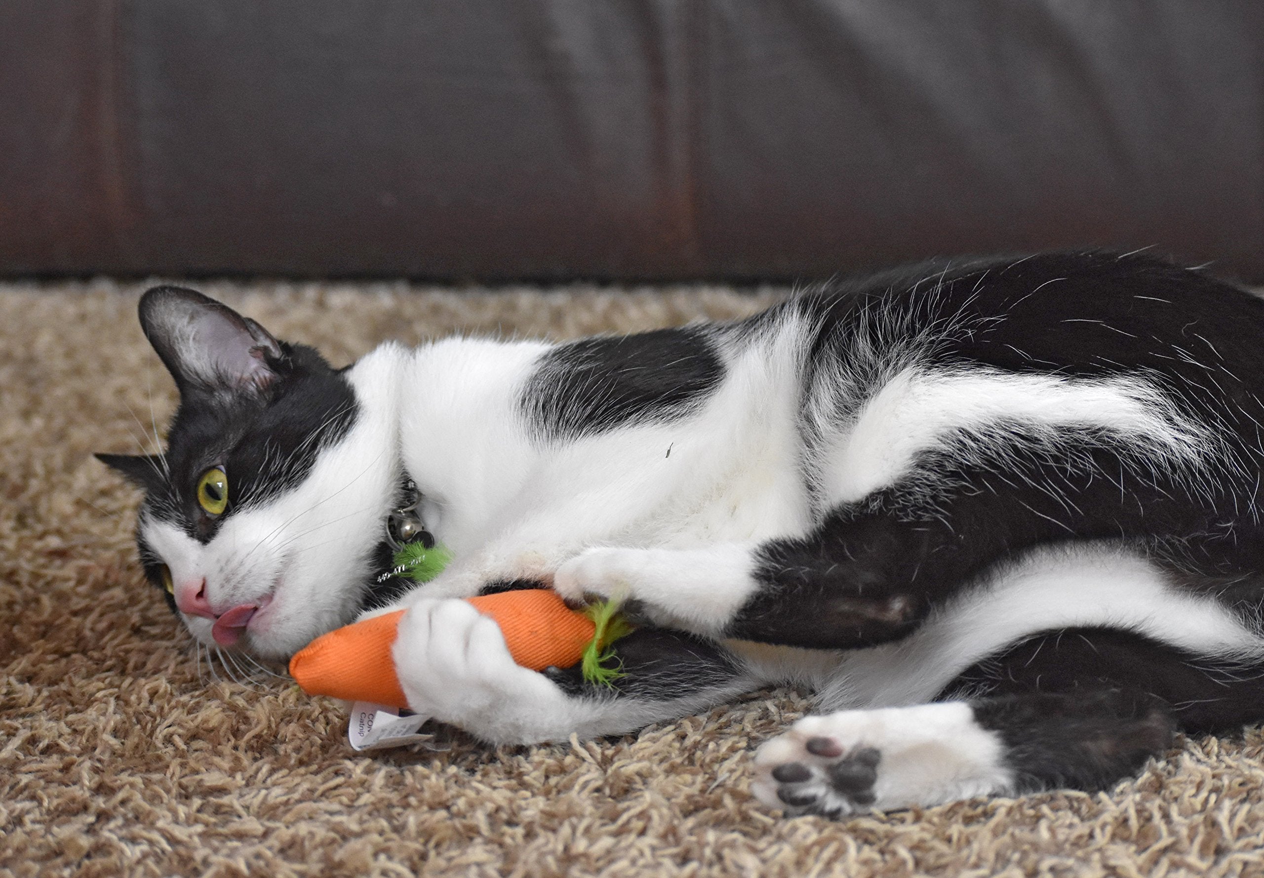 Ourpets 100-Percent North American Catnip Filled Carrot Cat Toy 24 Karat