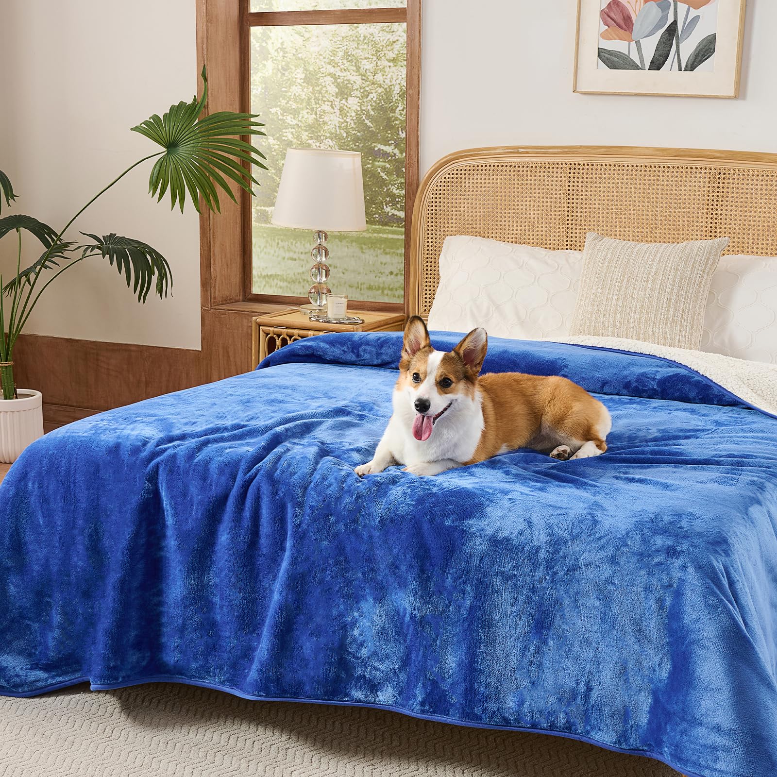 Sunheir Waterproof Blanket for Twin Size Bed - 80x60 Soft Reversible Sherpa Fleece Flannel Dog Blankets for Large Dogs, Pet Blan