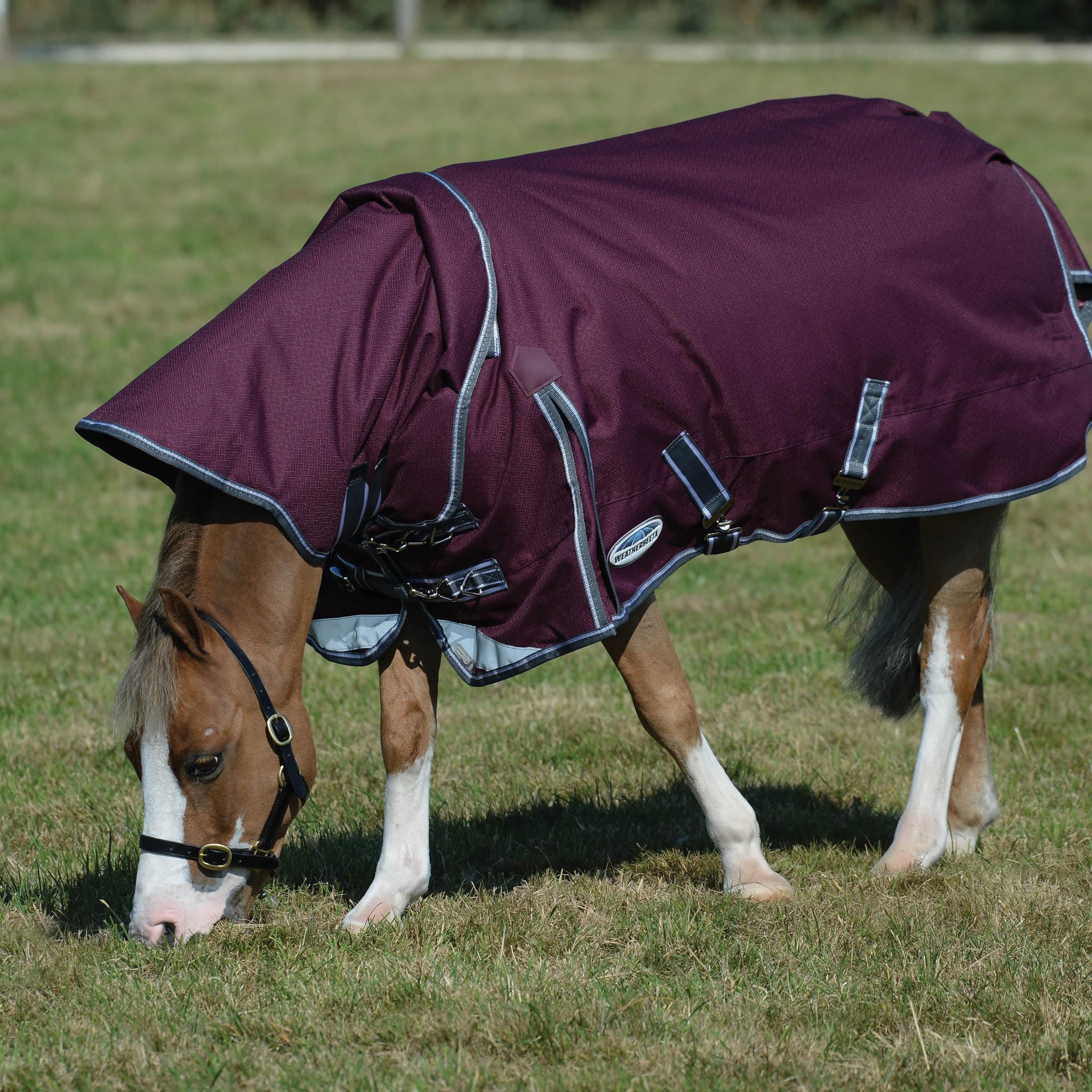 Weatherbeeta Comfitec Plus Dynamic Ii Detach-A-Neck Medium, Maroon/Grey/White, 81