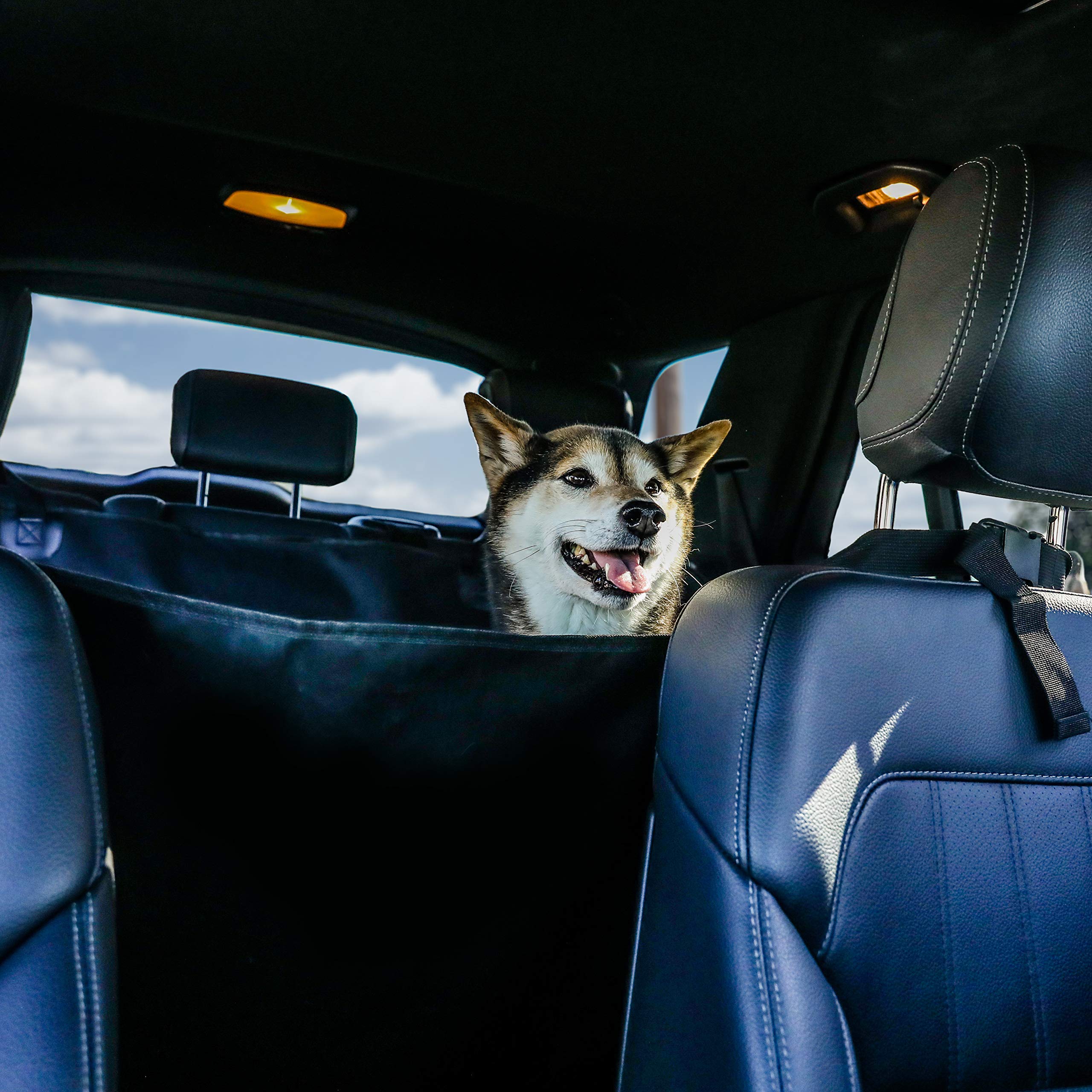 BarksBar Pet Car Seat Cover with Seat Anchors for Cars, Trucks and SUVs, Water Proof and Non-Slip Backing Regular, Black