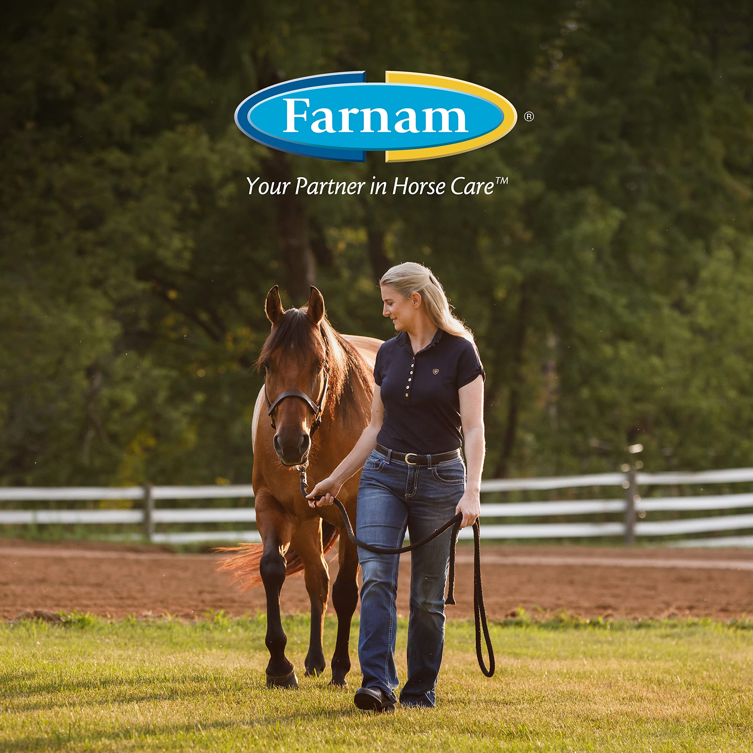 Farnam Leather New Easy-Polishing Glycerine Saddle Soap And Leather Saddle Cleaner, Protects And Preserves Leather, Cleans, Conditions And Polishes, 64 Oz.