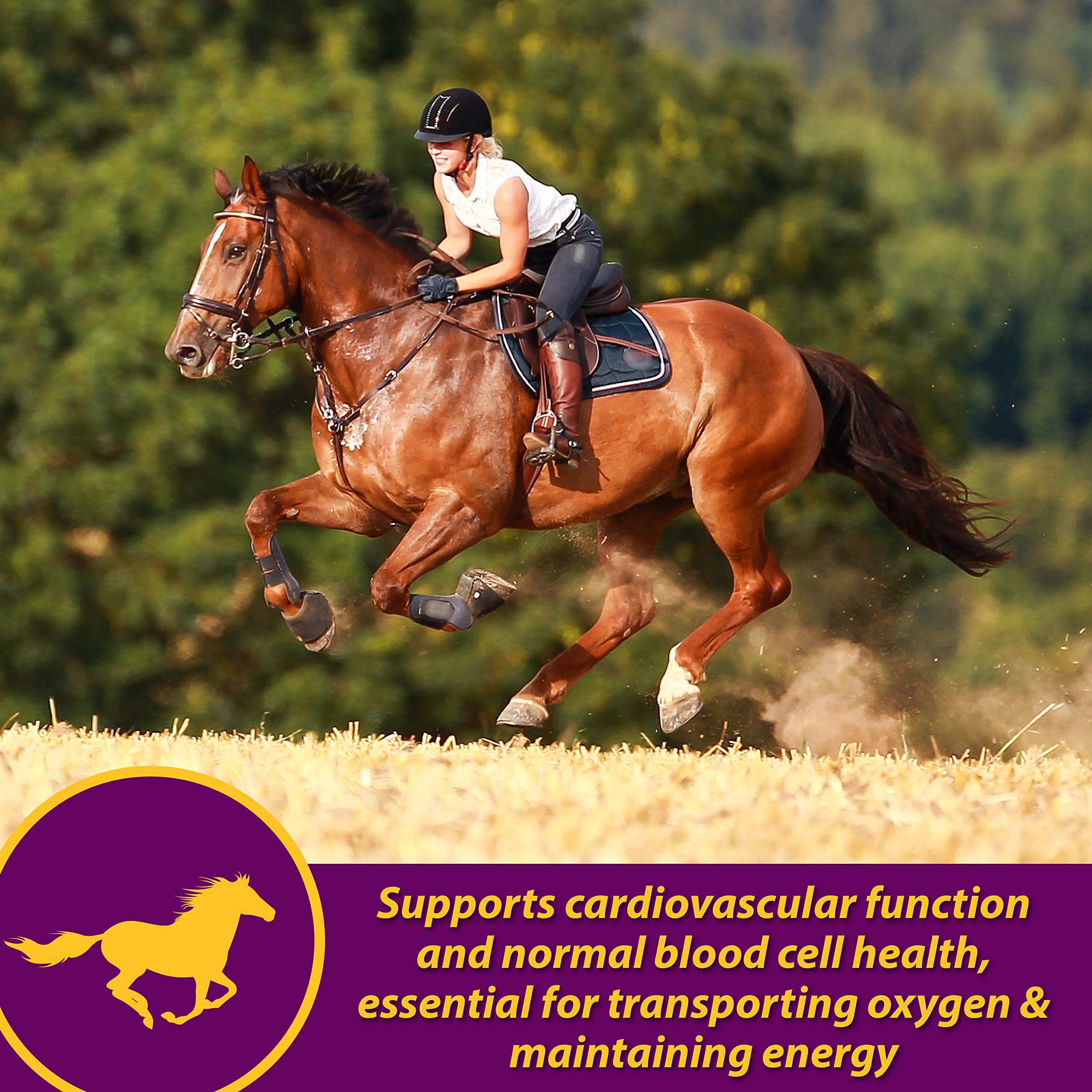 Farnam Red Cell Pellets for Horses - Vitamin-Iron-Mineral Supplement, 4 lbs, Brown, Model 100506701