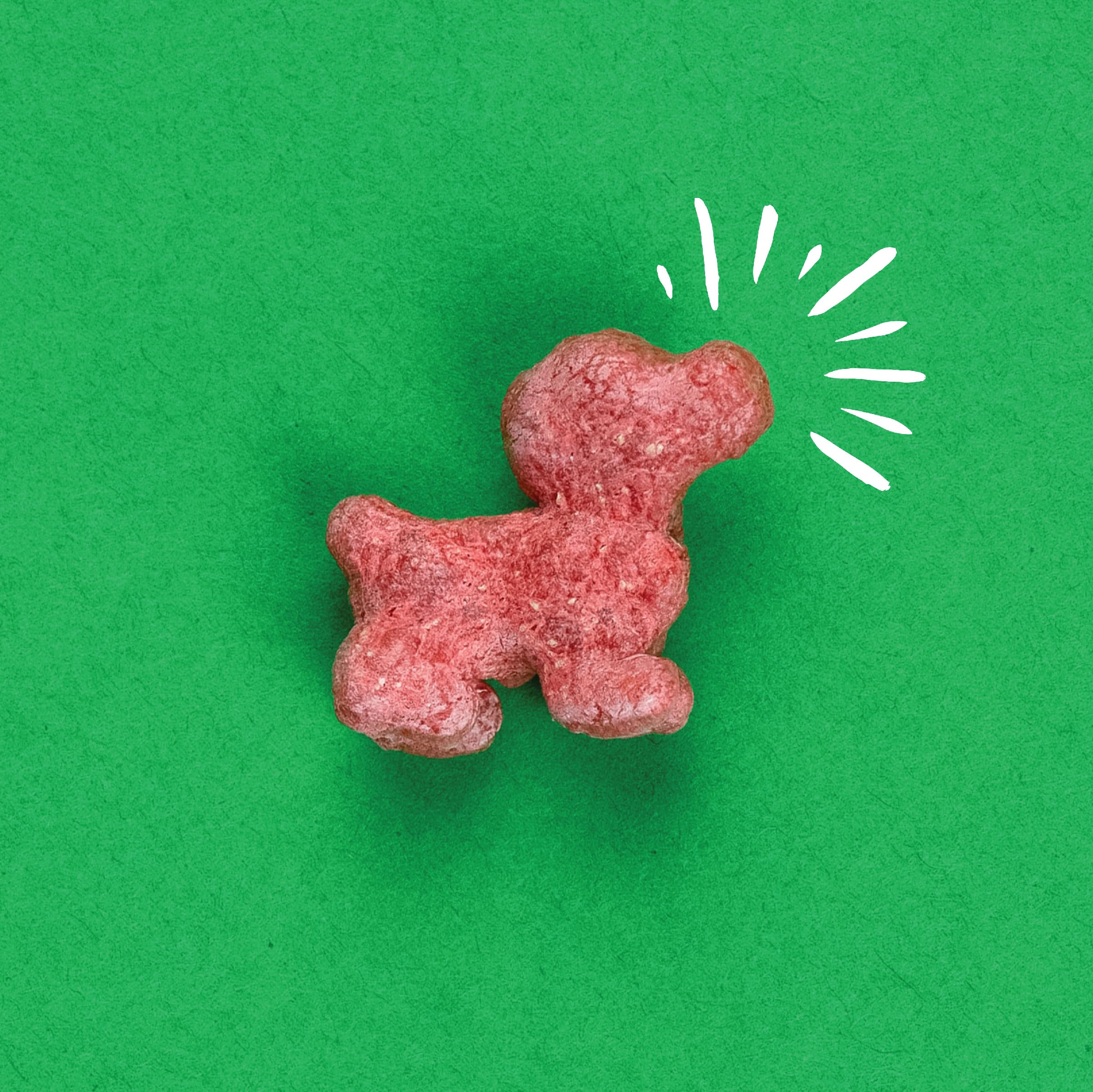 Pup Corn Plus - Puffed Dog Treats with Prebiotics and Probiotics - Bacon & Peanut Butter (4oz) - Made in USA