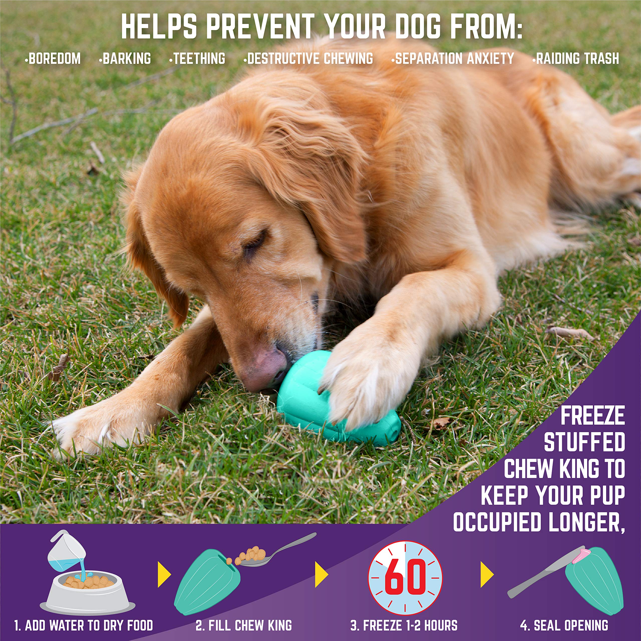 Chew King Premium Treat Dog Toy, L, Extremely Durable Natural Rubber Toy, Pack Of 2, All Breed Sizes