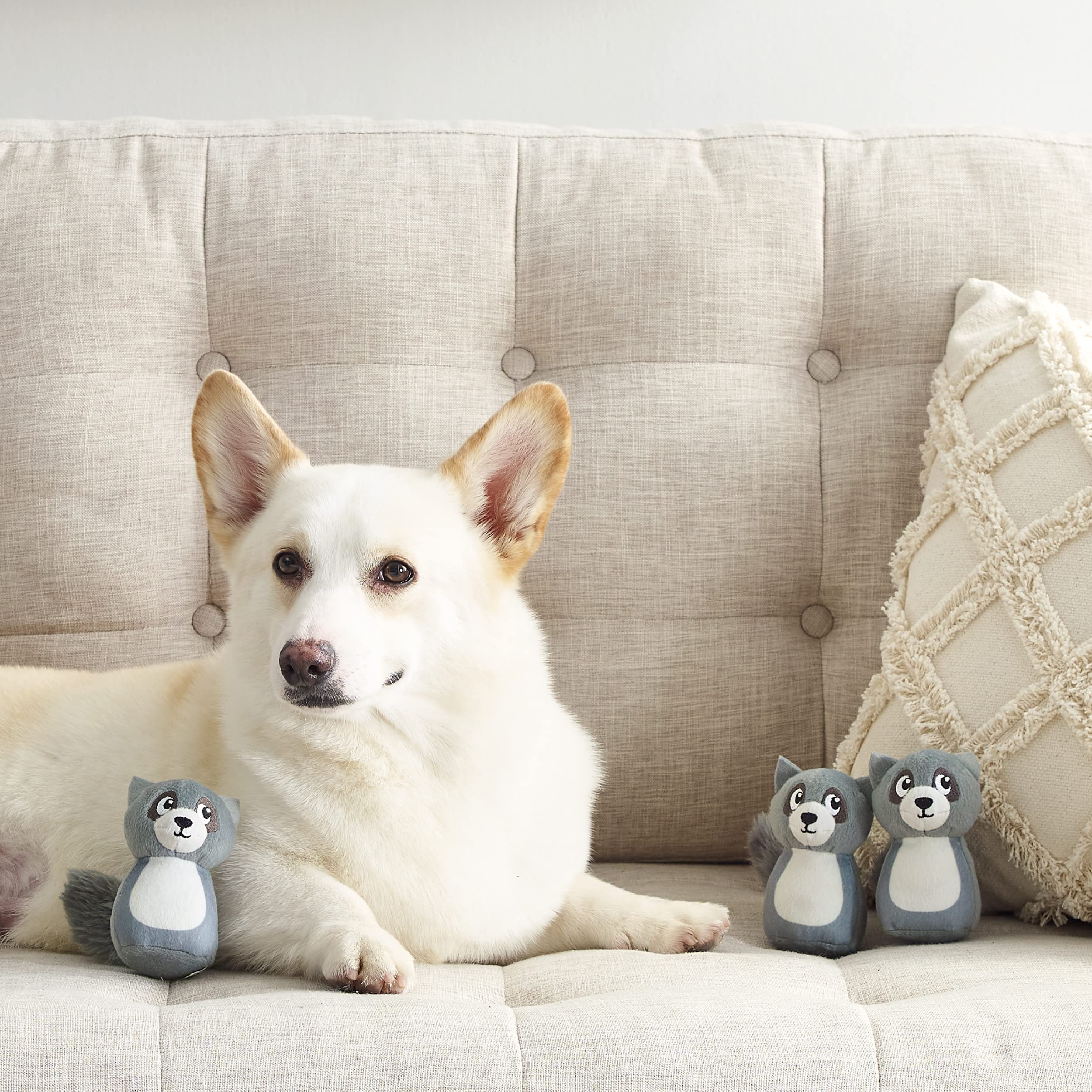 Outward Hound Plush Replacement Dog Toys - Squeakin' Raccoon - 3 Pack, Polyester, Model 70475