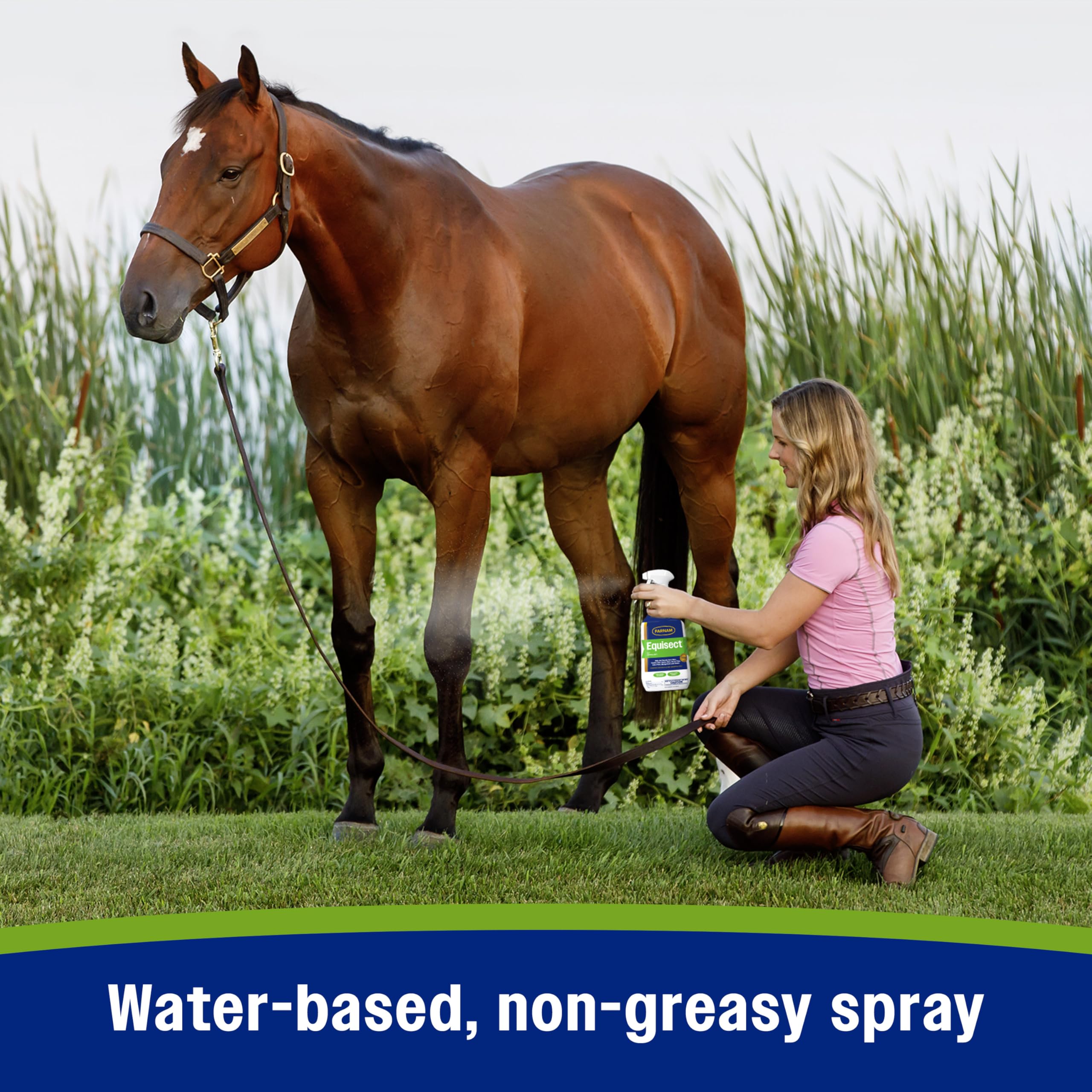 Farnam Equisect Water-Based Botanical Fly Repellent with Herbal Scent for Horses, Dogs and Cats, 32 Ounces