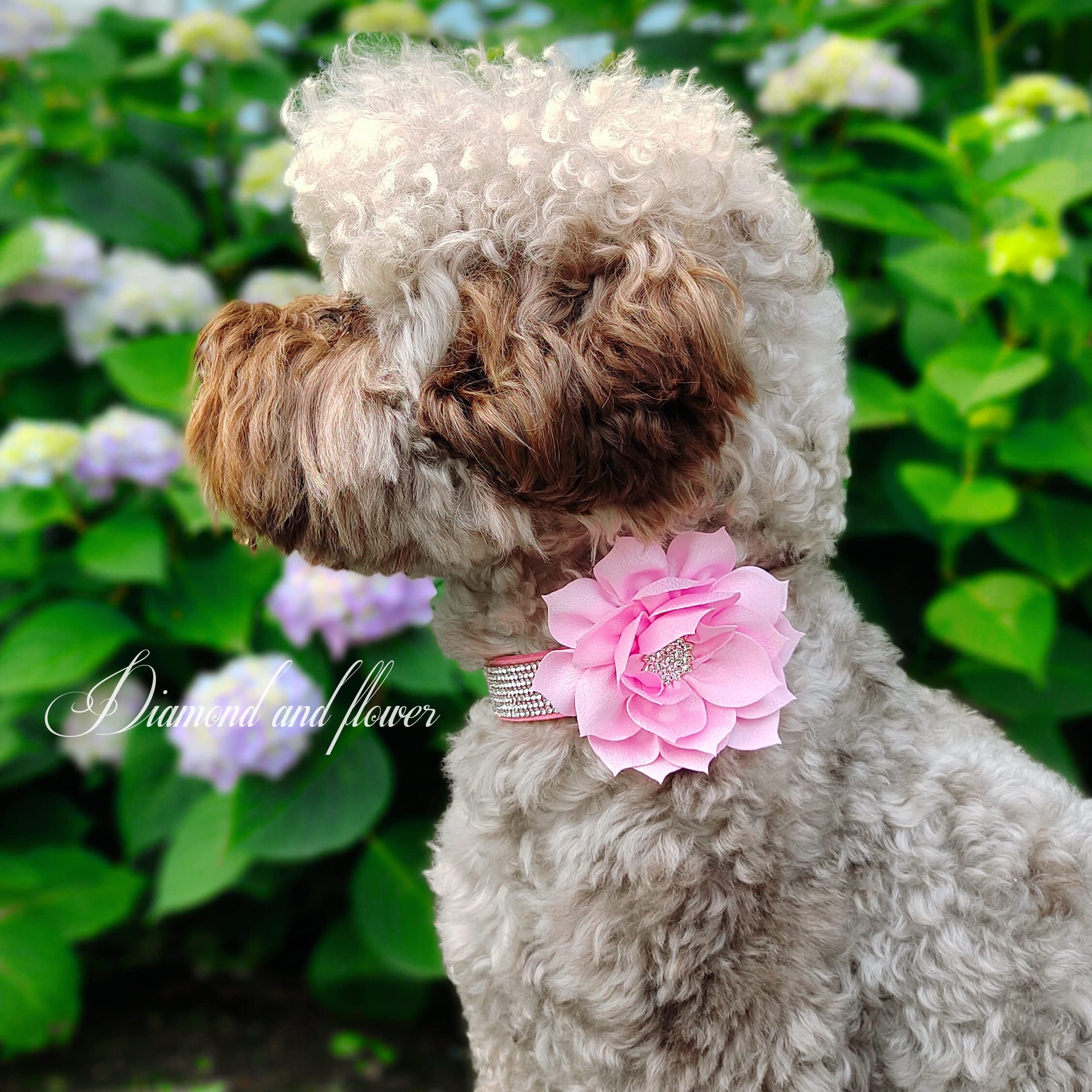 Pet Artist Cute Girl Rhinestone Suede Dog Collars For Small Dogs Cats,Soft Flower Dog Collar,Bling Dog Collars For Small Puppy Dogs Pink Collar, Xs:Neck 7.5-10'(19-25Cm)