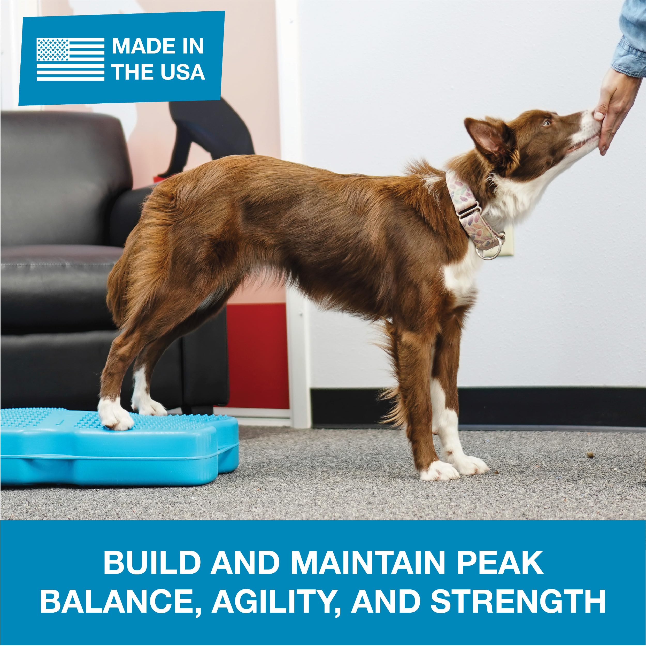 Blue-9 Propel Air Platform Kit, Professionally Designed Dog Training Accessories And Pet Products, Made In The Usa, Gray