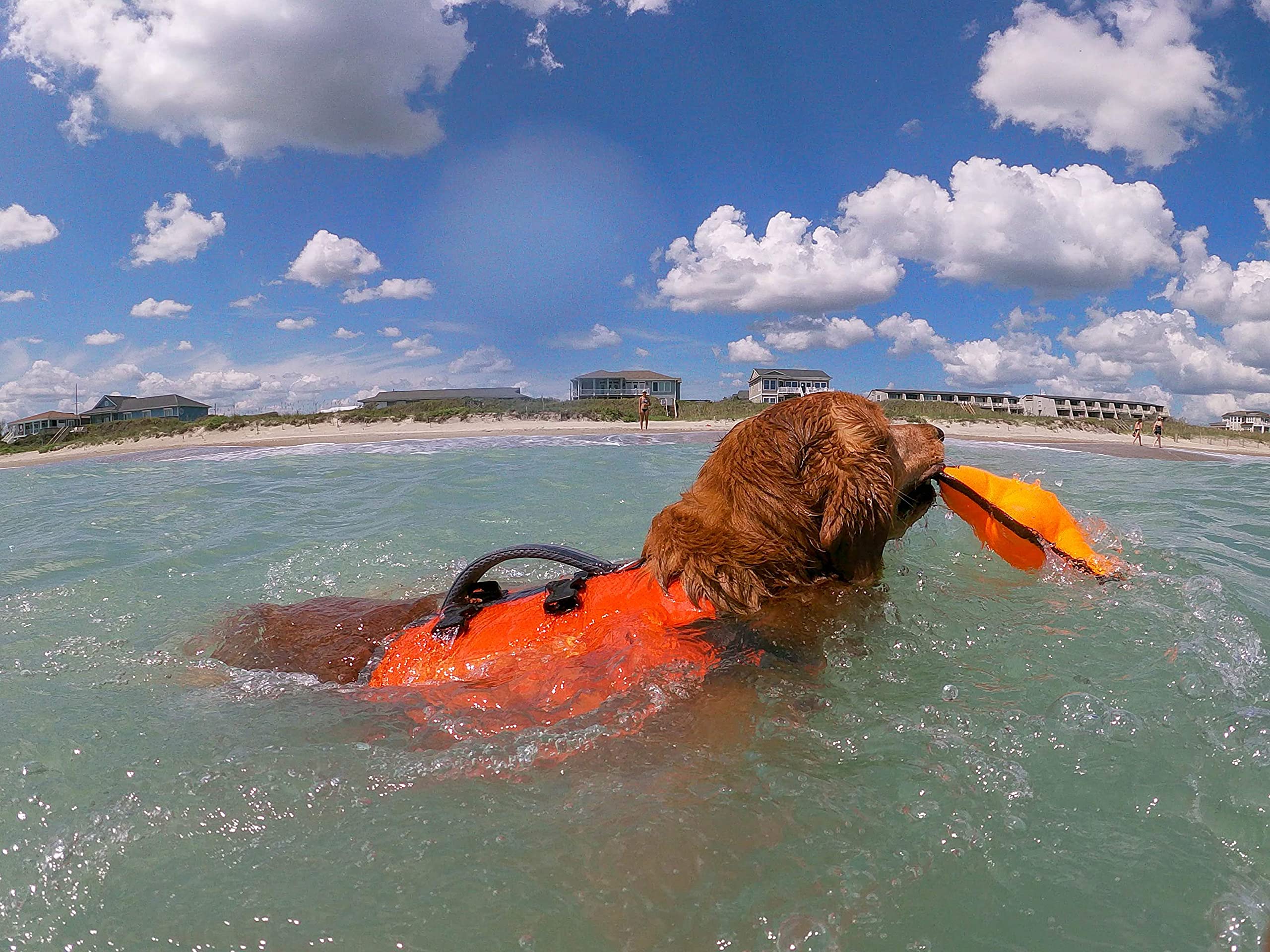 Bark Brite Multi-Purpose Dog Backpack Life Jacket - Medium, Orange/Red/Grey, Durable Material