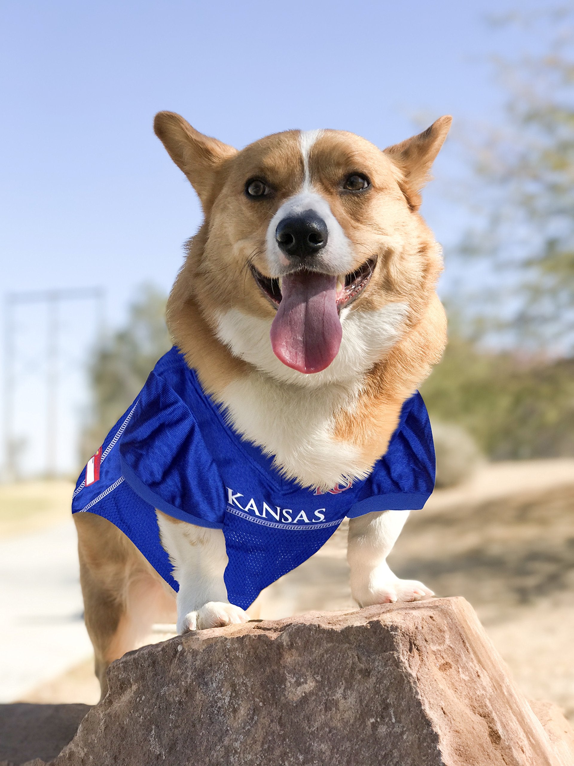 Pets First NCAA College University of Kansas Jayhawks Mesh Jersey for DOGS & CATS, Size Small, Licensed Dog Jersey with your Fav