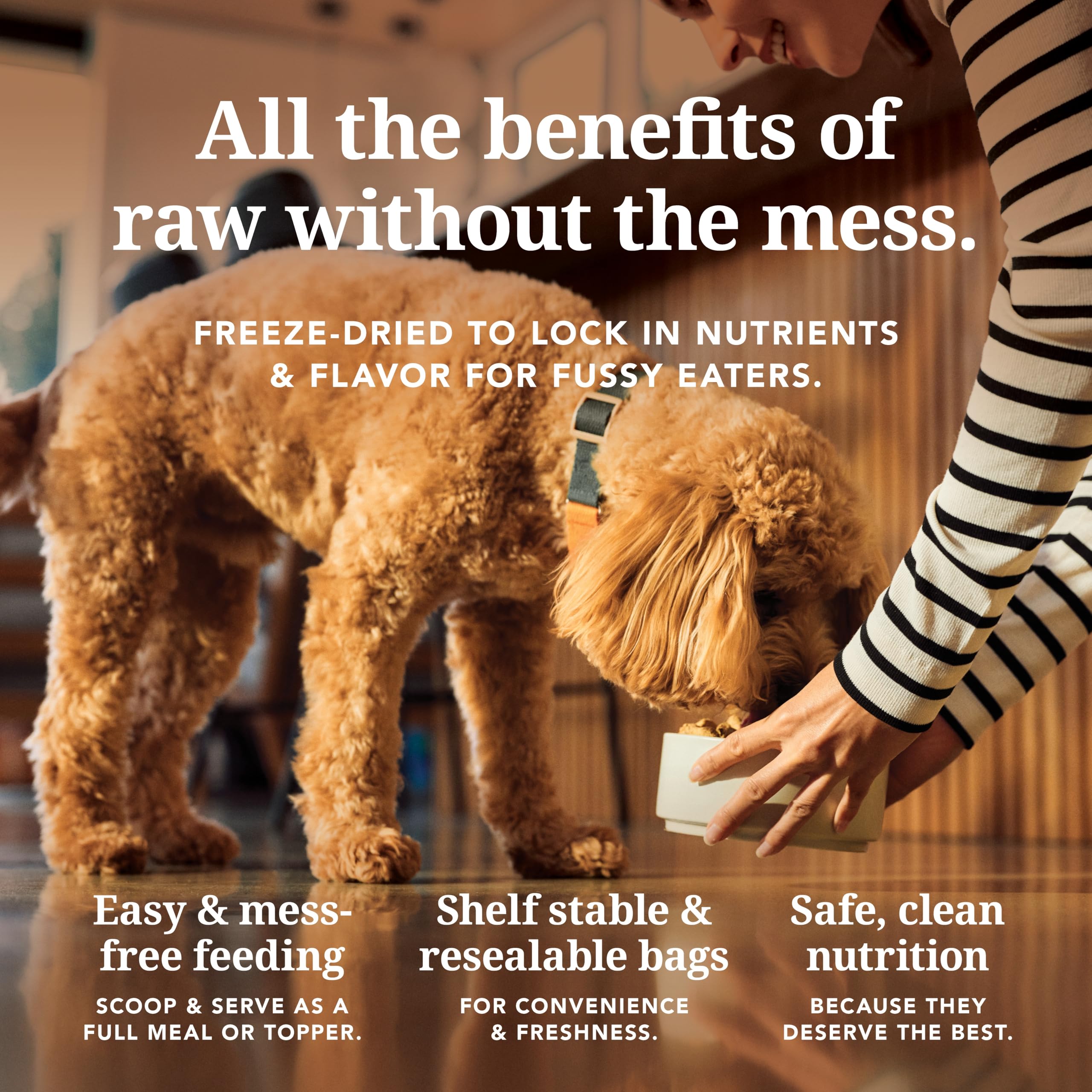 K9 Natural Freeze-Dried Dog Food Lamb & King Salmon Feast 8lb