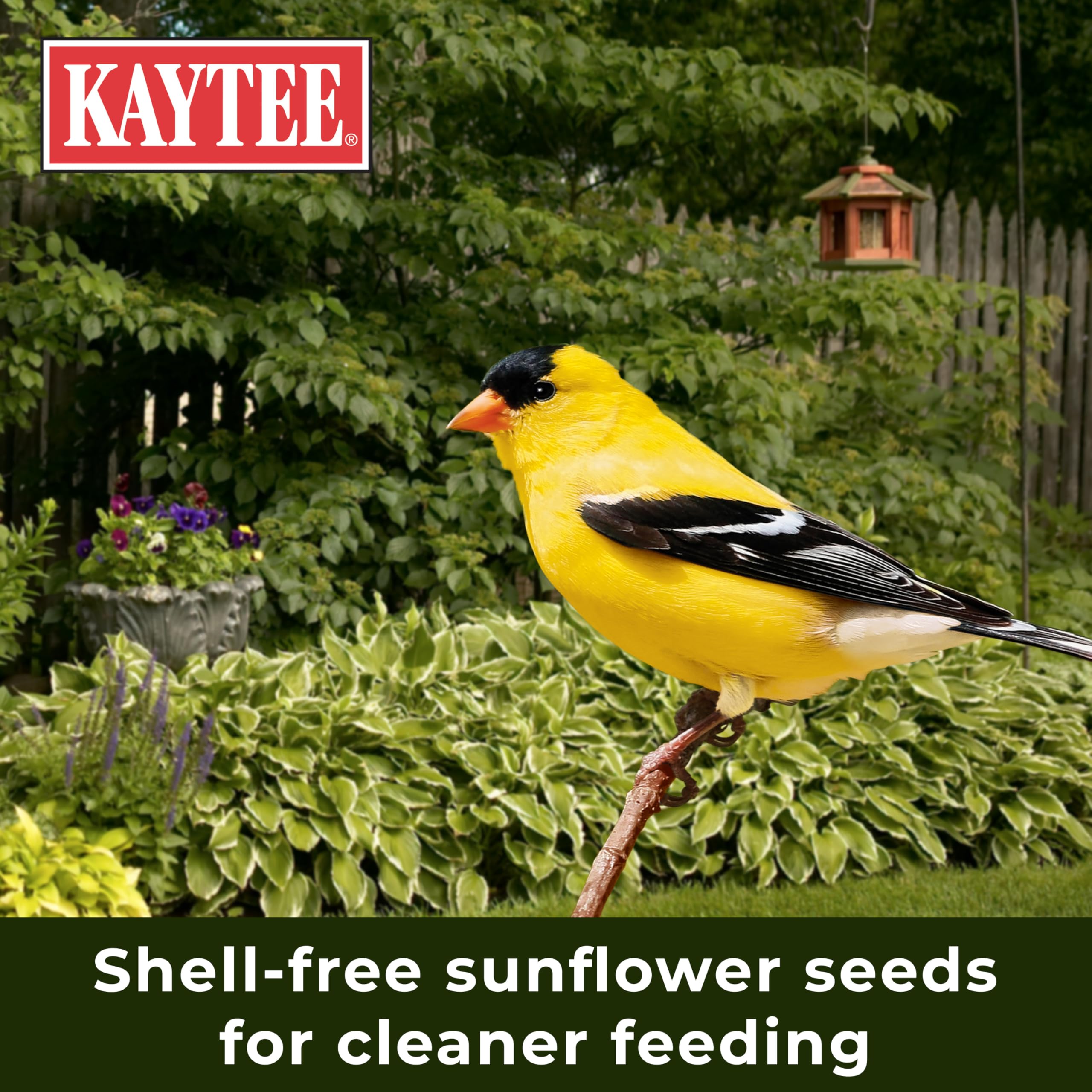 Kaytee Waste Free Finch Blend 8 Pounds