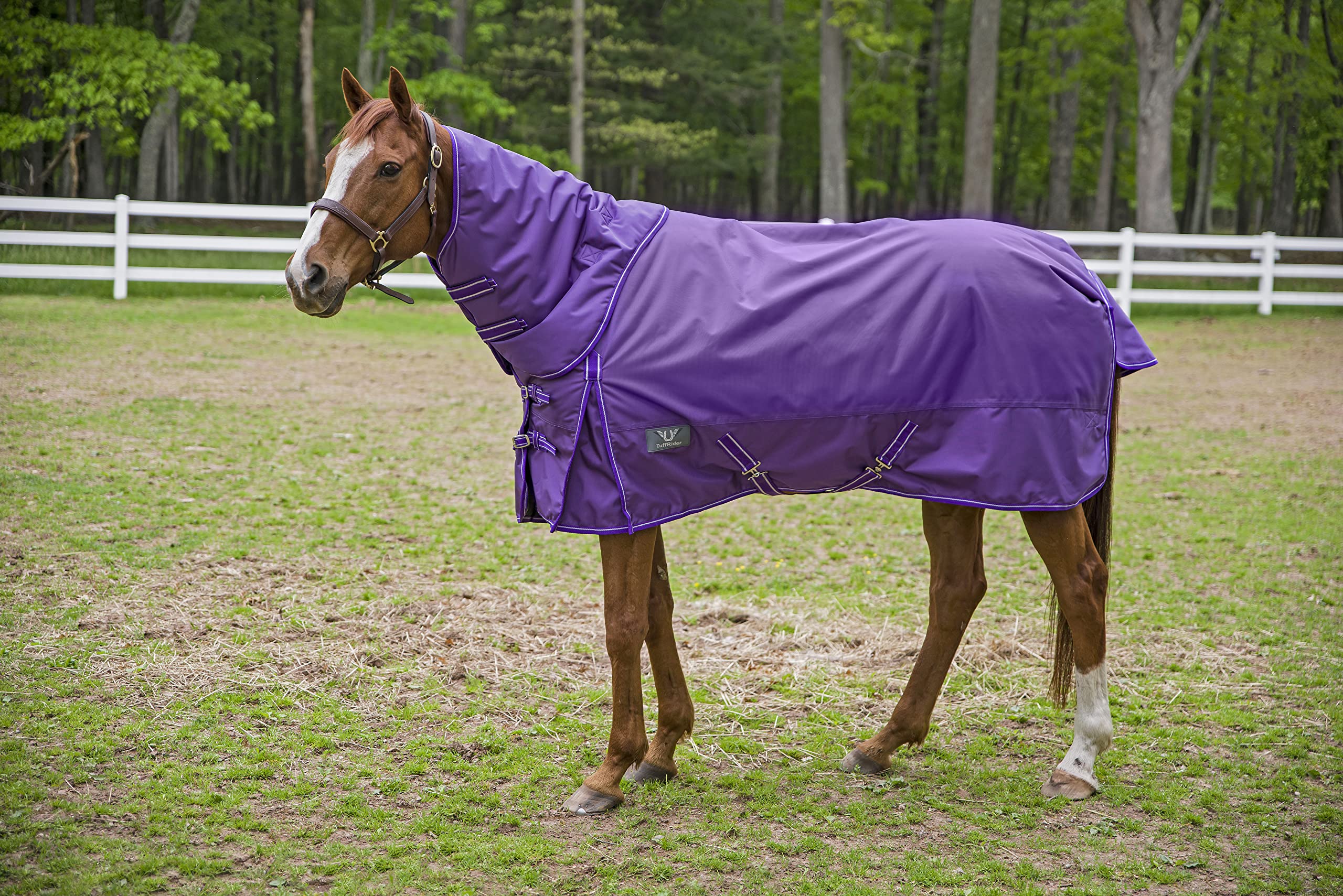 Tuffrider 1680D Super Comfy Dan Heavy 75 Purple