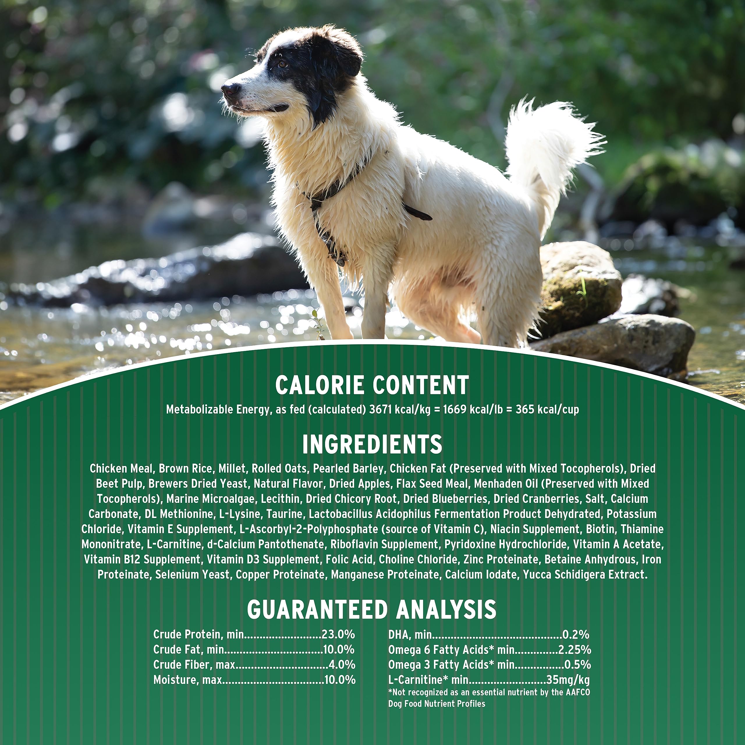 Annamaet Original Adult Formula Dry Dog Food, 23% Protein (Chicken & Brown Rice), 40-lb bag